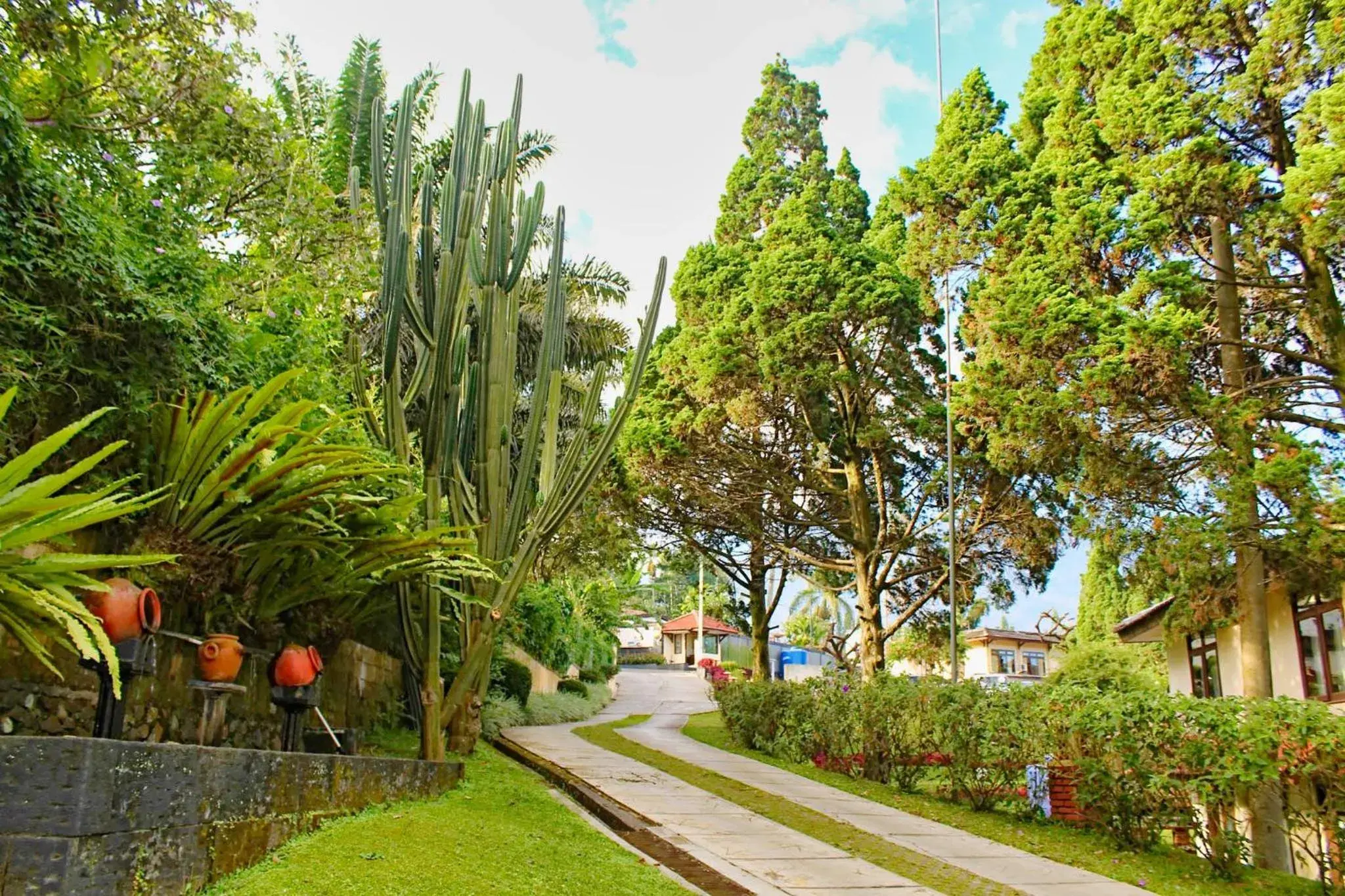 Property building in The Jayakarta Cisarua Property building in The Jayakarta Cisarua