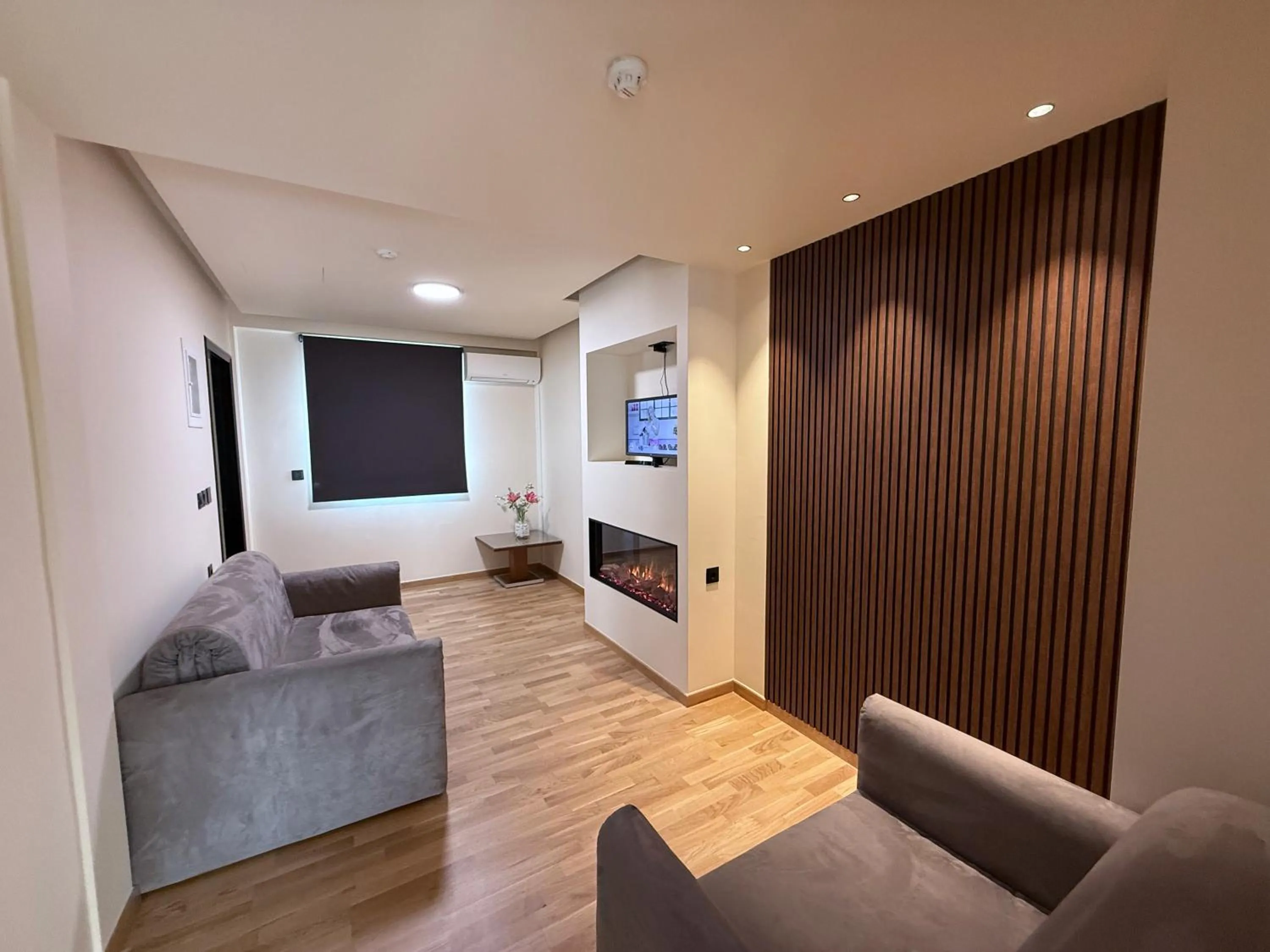 TV and multimedia in Hotel ΑΤΗΙΝΑ