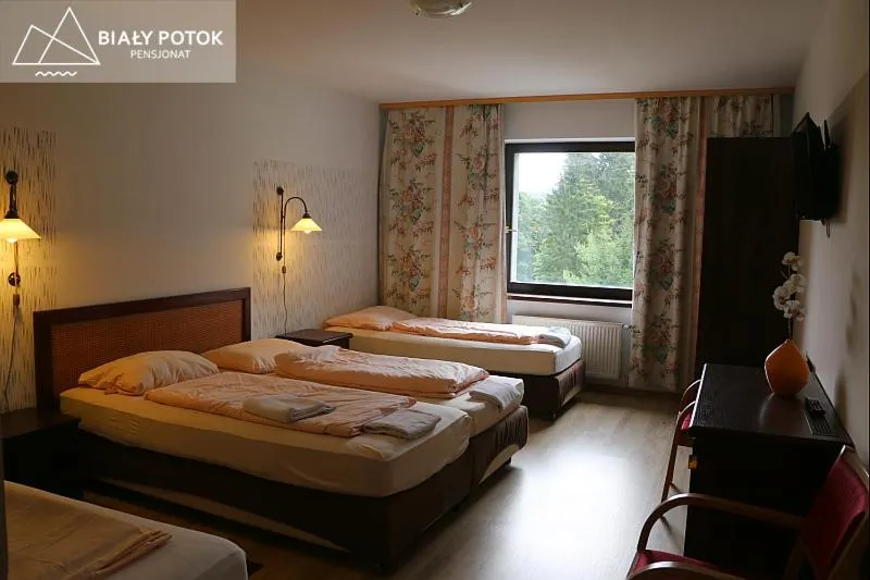 Photo of the whole room, Bed in Biały Potok