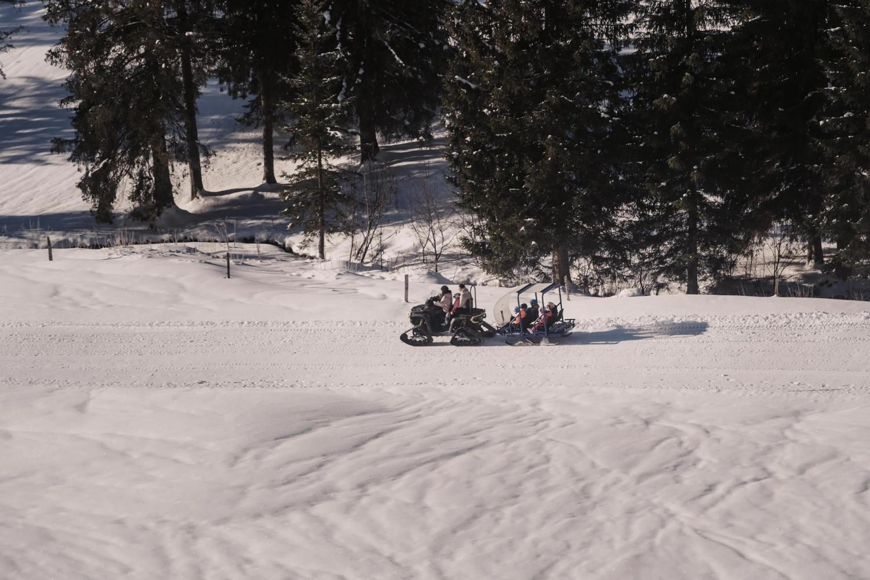Skiing in Hotel Neubergerhof