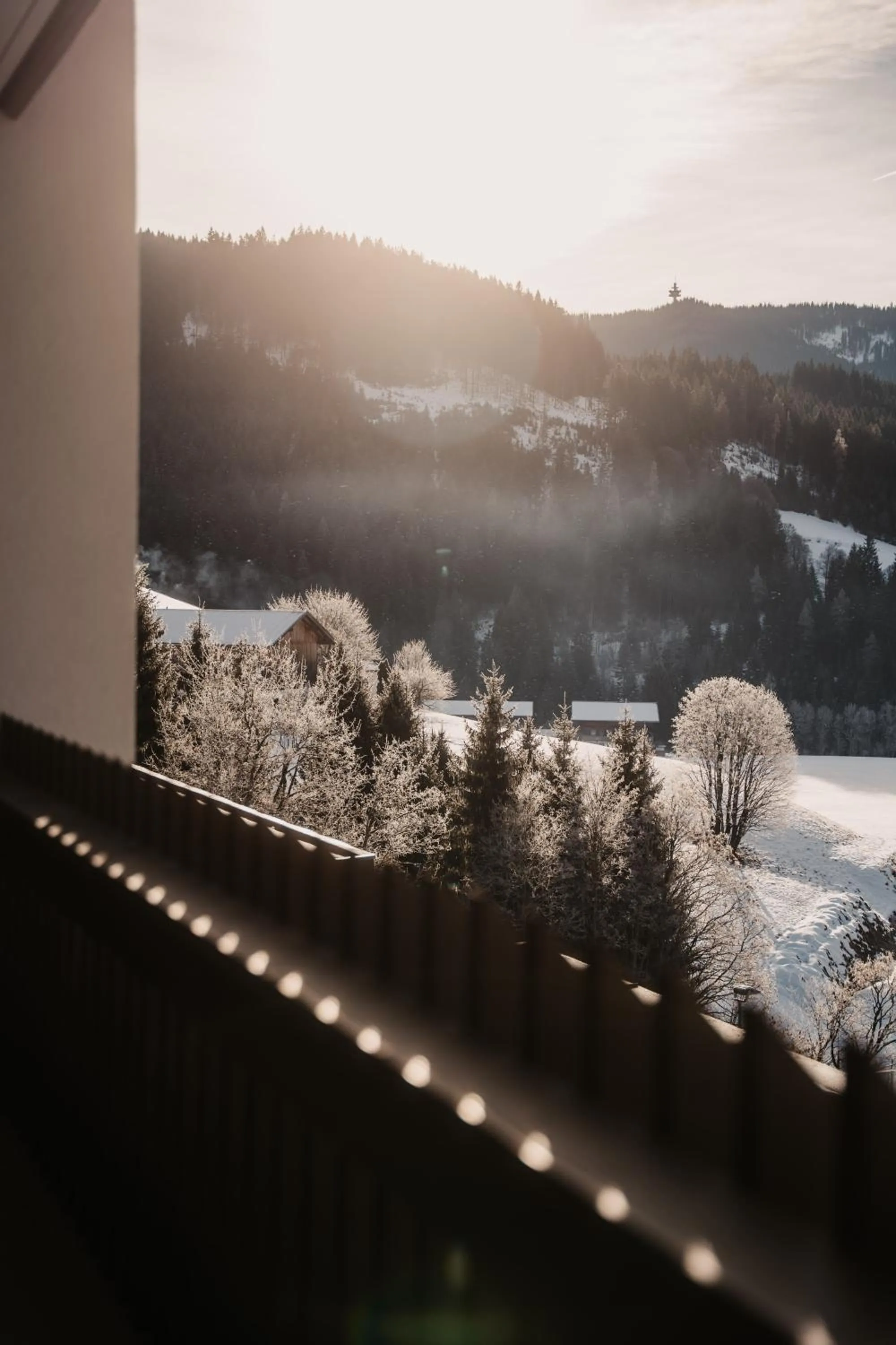 View (from property/room) in Hotel Neubergerhof