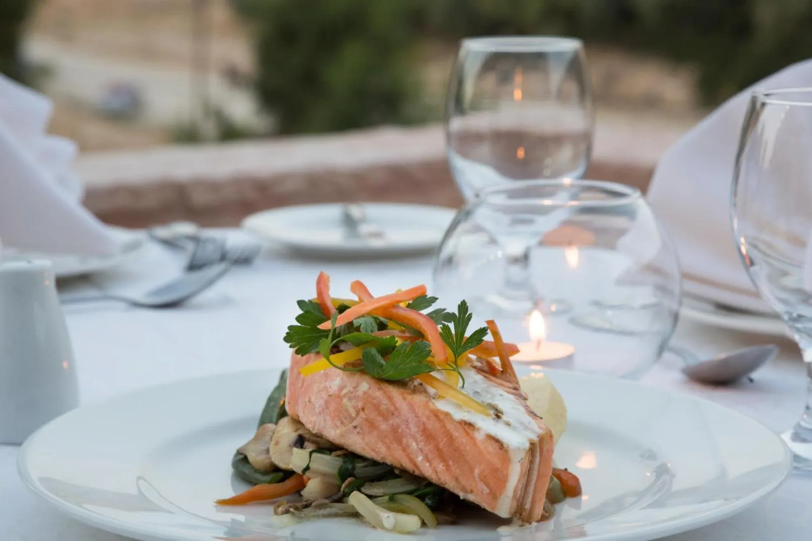 Other in Petra Guest House Hotel