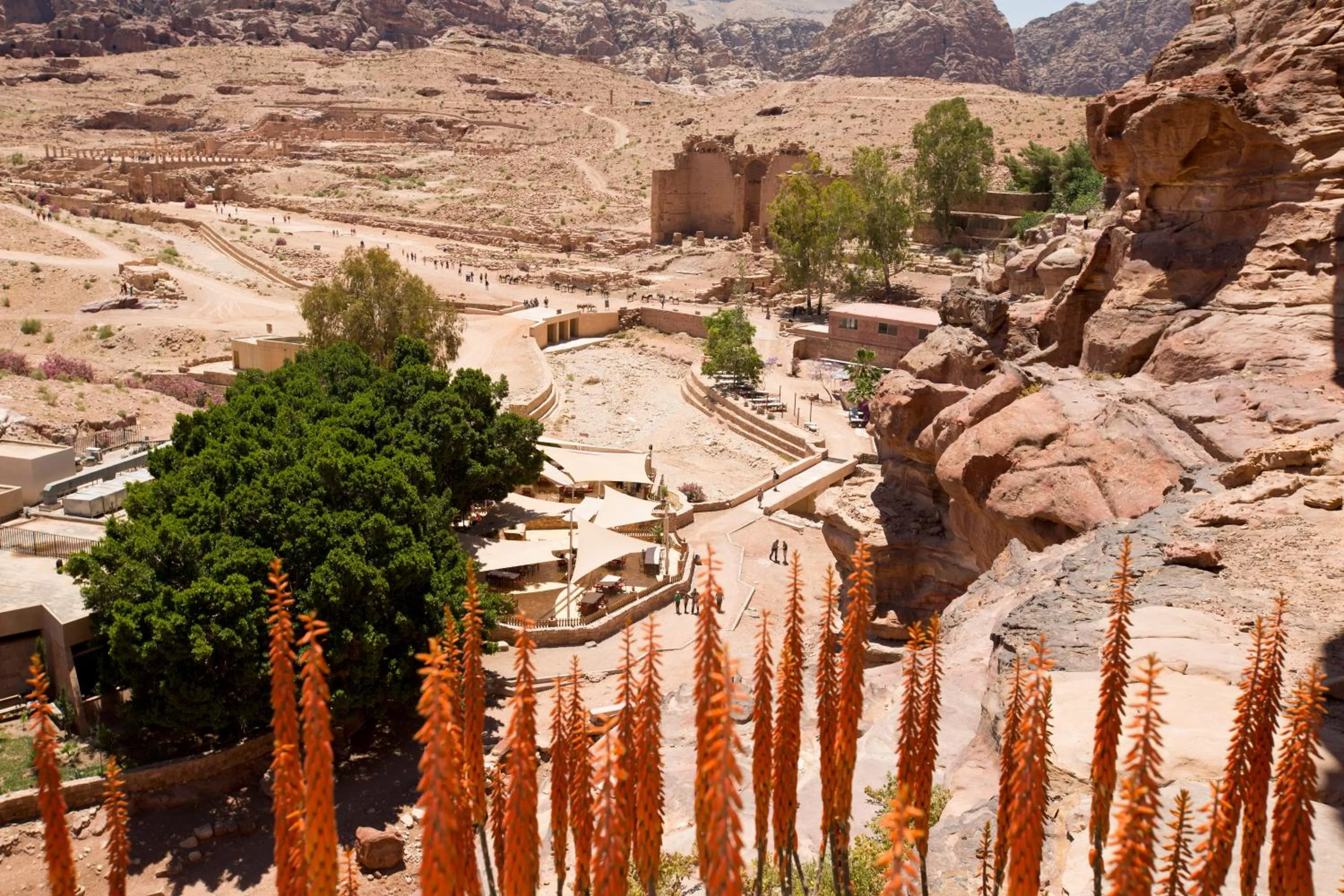 Natural landscape in Petra Guest House Hotel