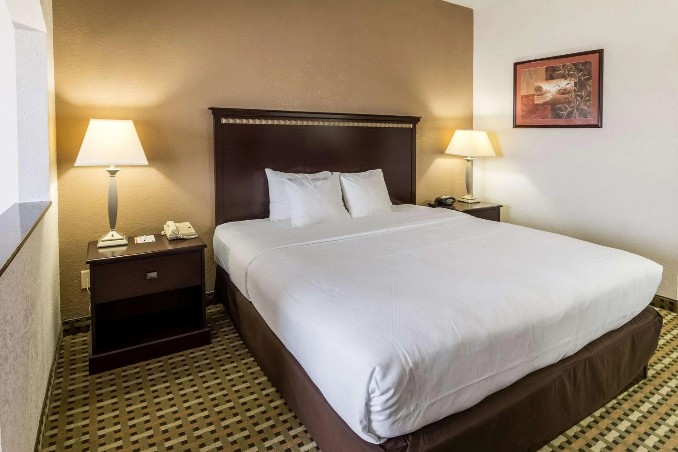 Photo of the whole room, Bed in Quality Suites Burleson - Ft Worth