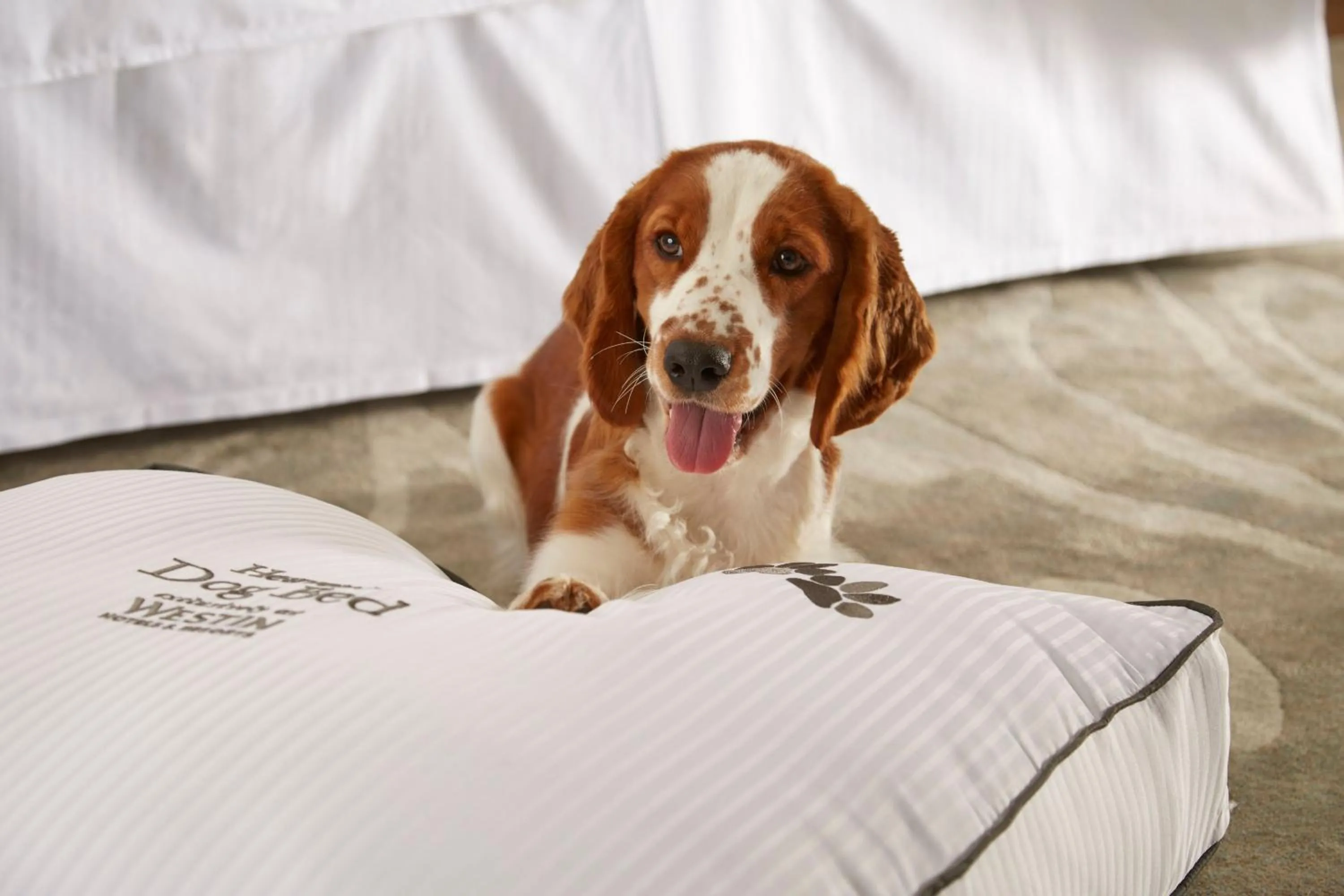 Other in The Westin Calgary