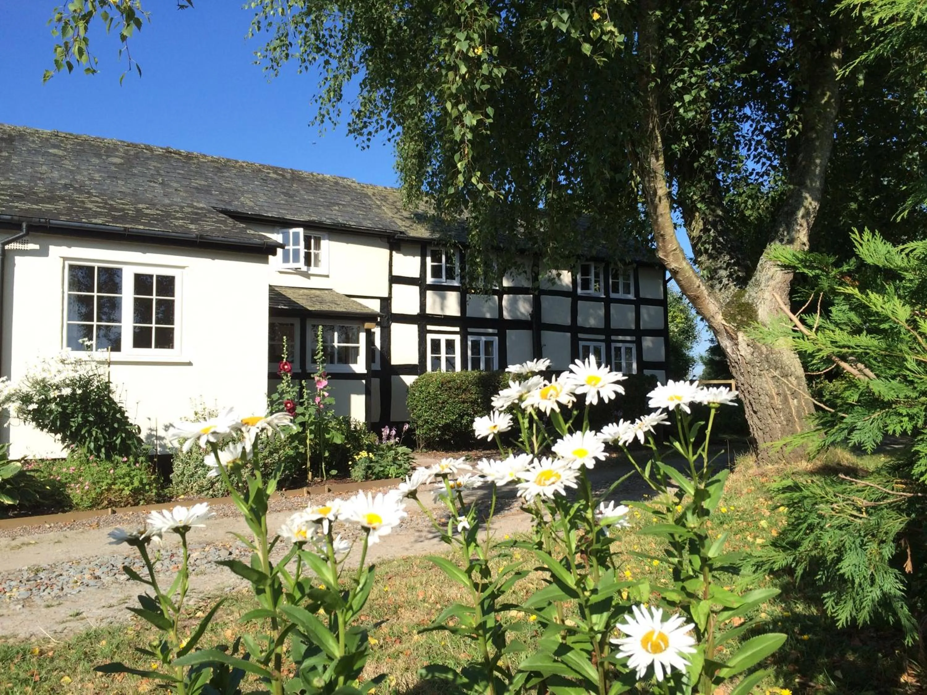 Yew Tree Cottage