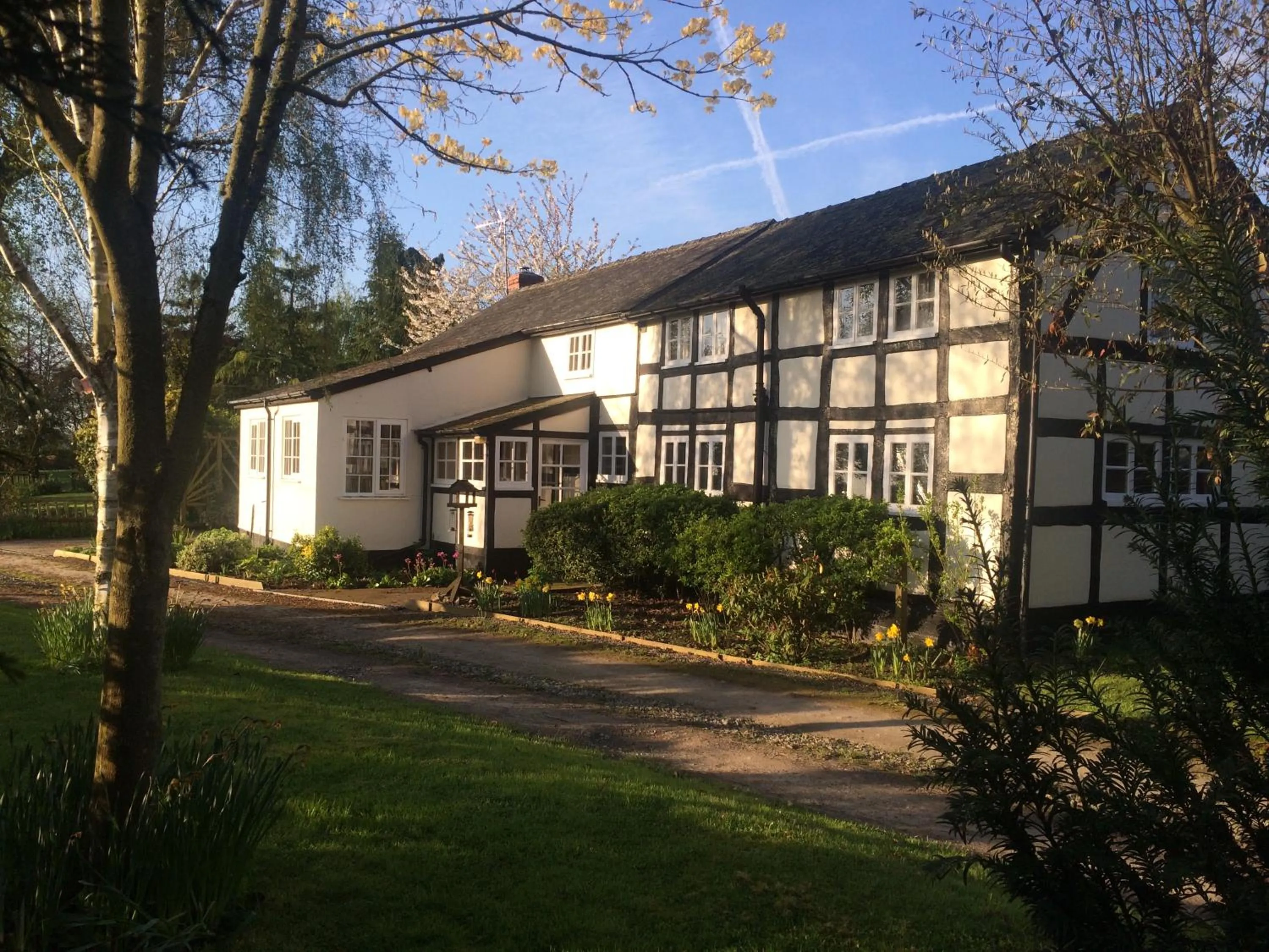 Yew Tree Cottage