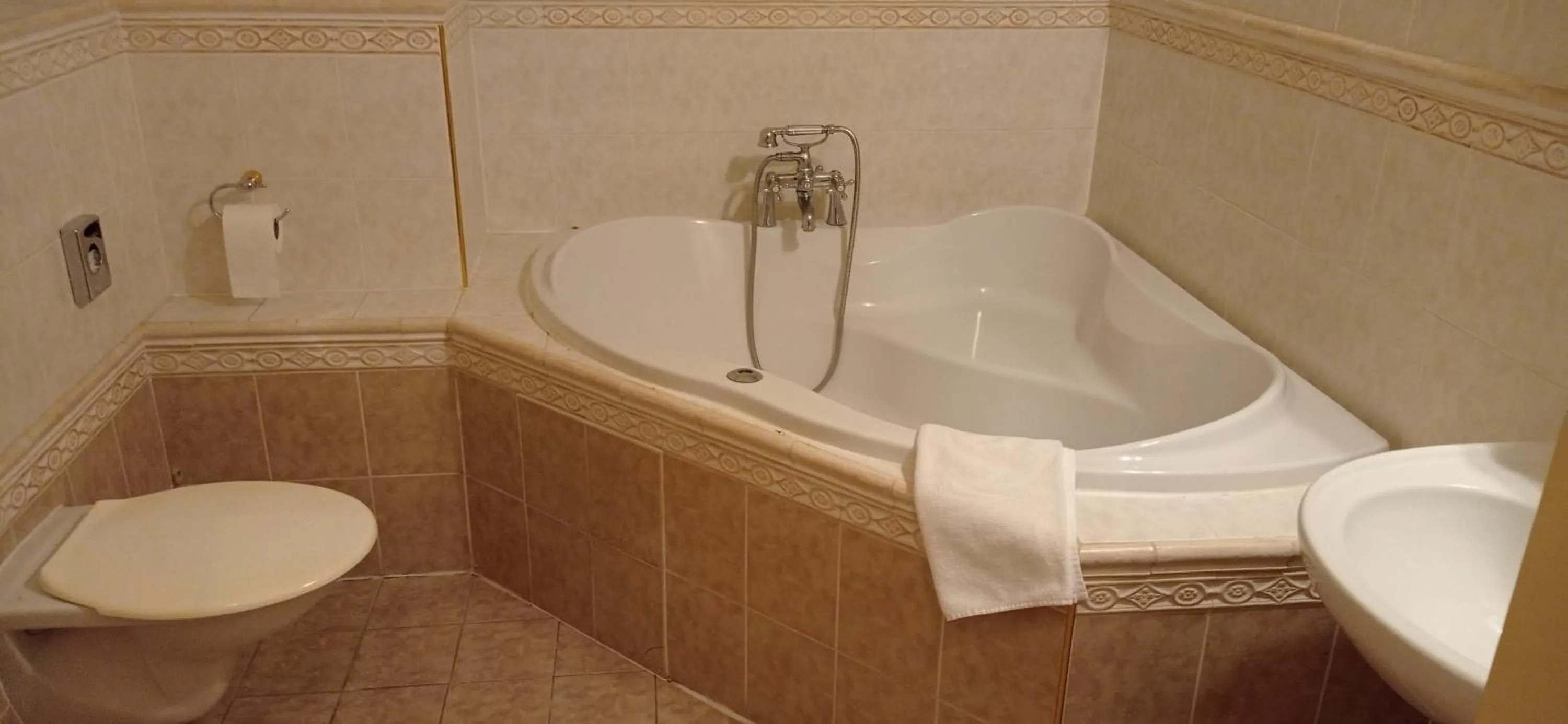 Toilet in Hotel U Zlateho jelena