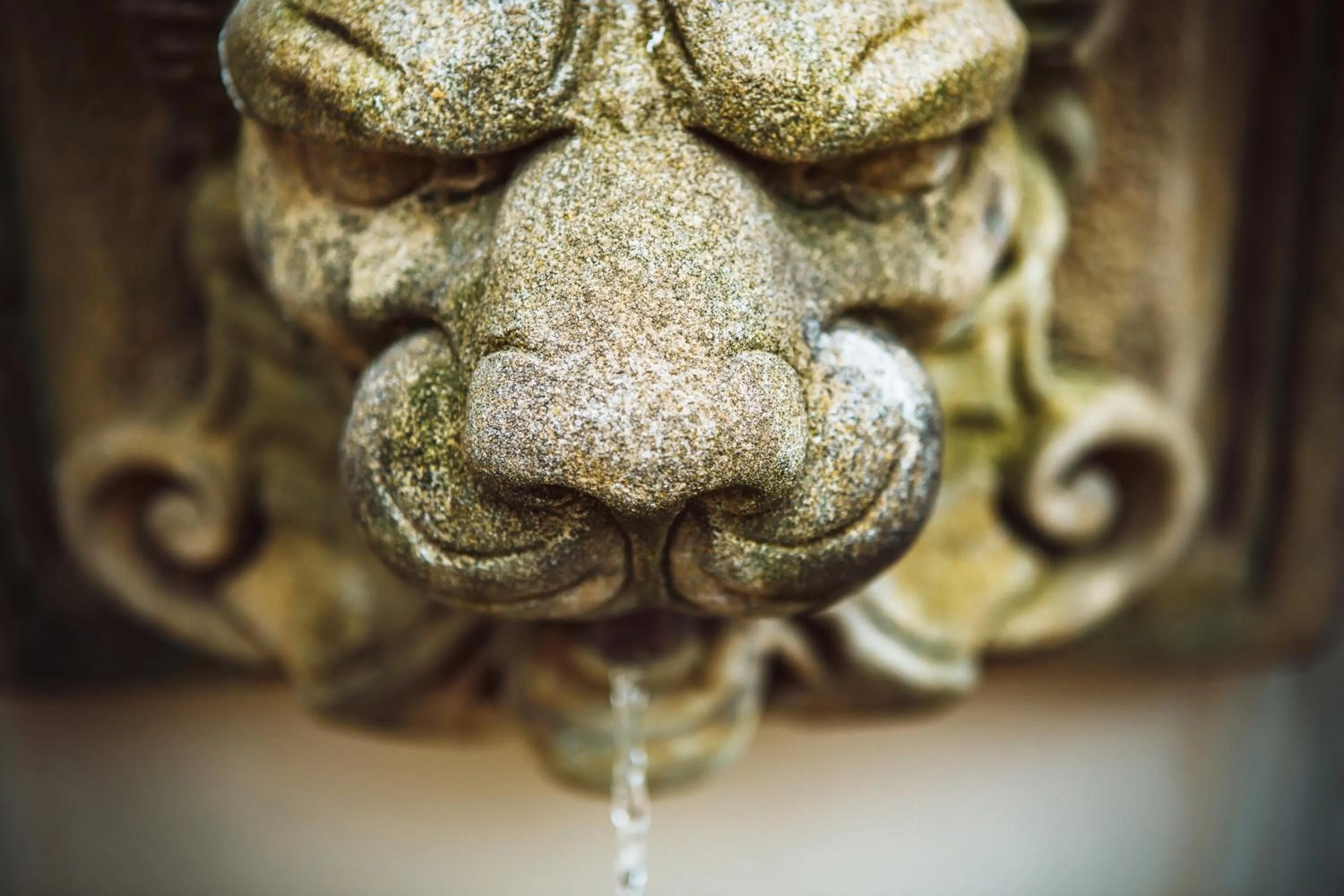 Garden in Hotel U Zlateho jelena