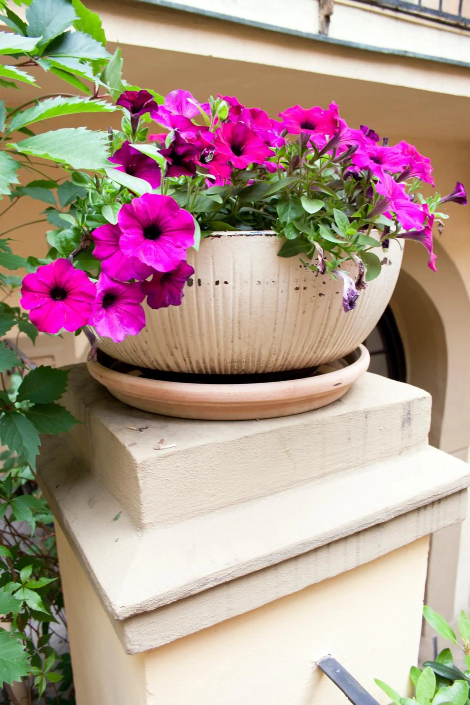 Decorative detail in Hotel U Zlateho jelena