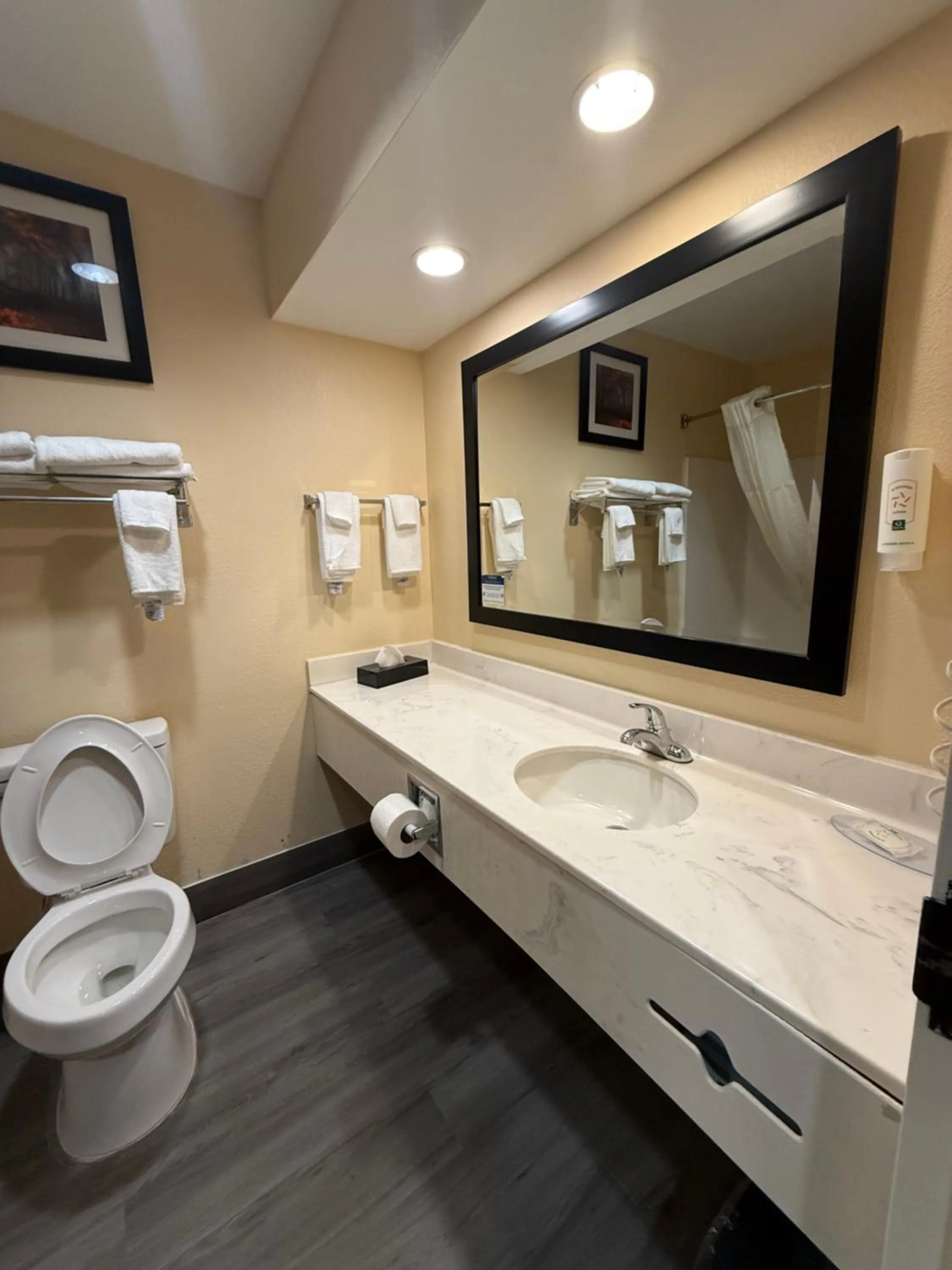 Bathroom in Quality Inn & Suites Exmore - Eastern Shore