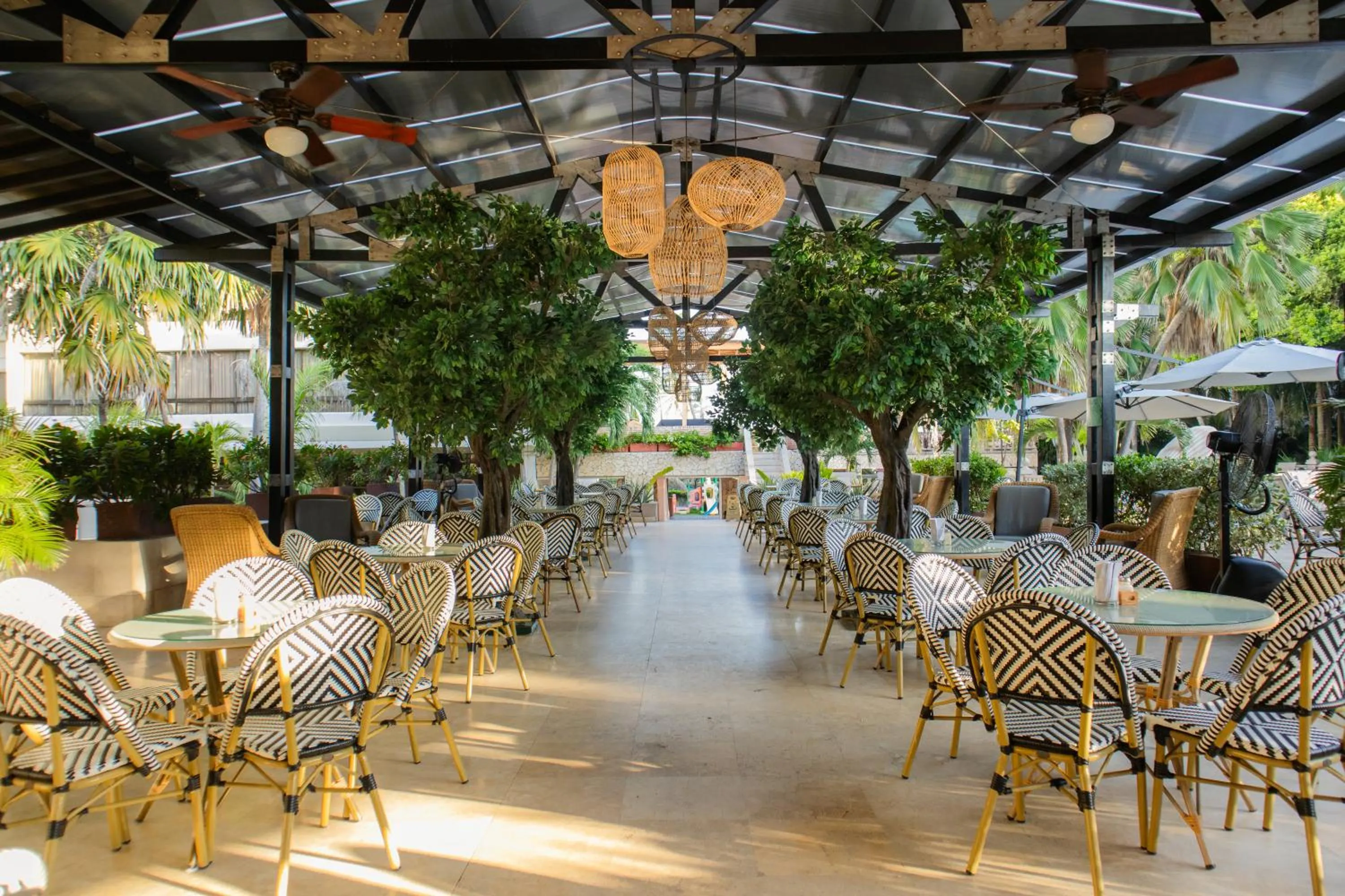 Restaurant/places to eat in Hotel Caribe by Faranda Grand, a member of Radisson Individuals