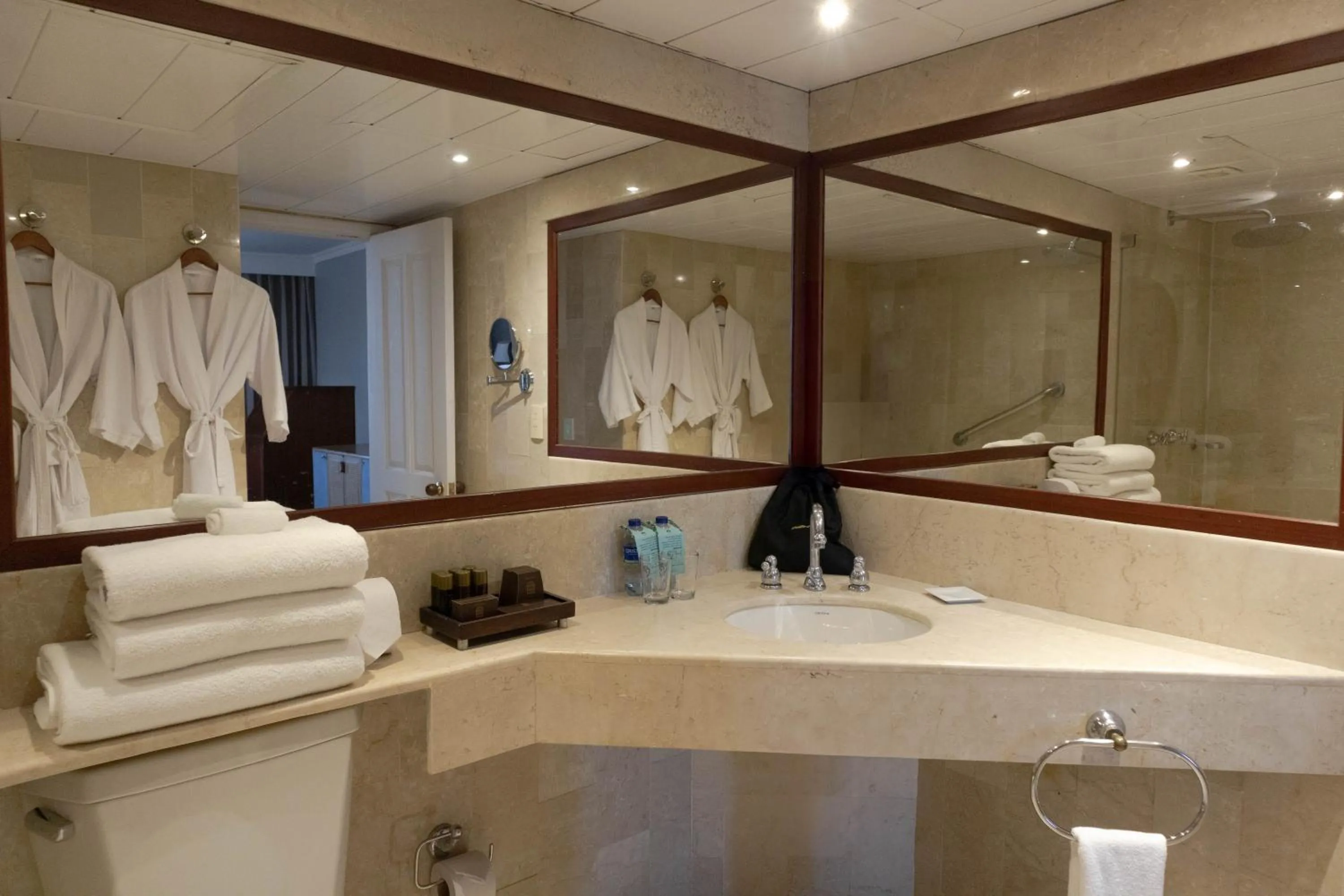 Toilet in Hotel Caribe by Faranda Grand, a member of Radisson Individuals