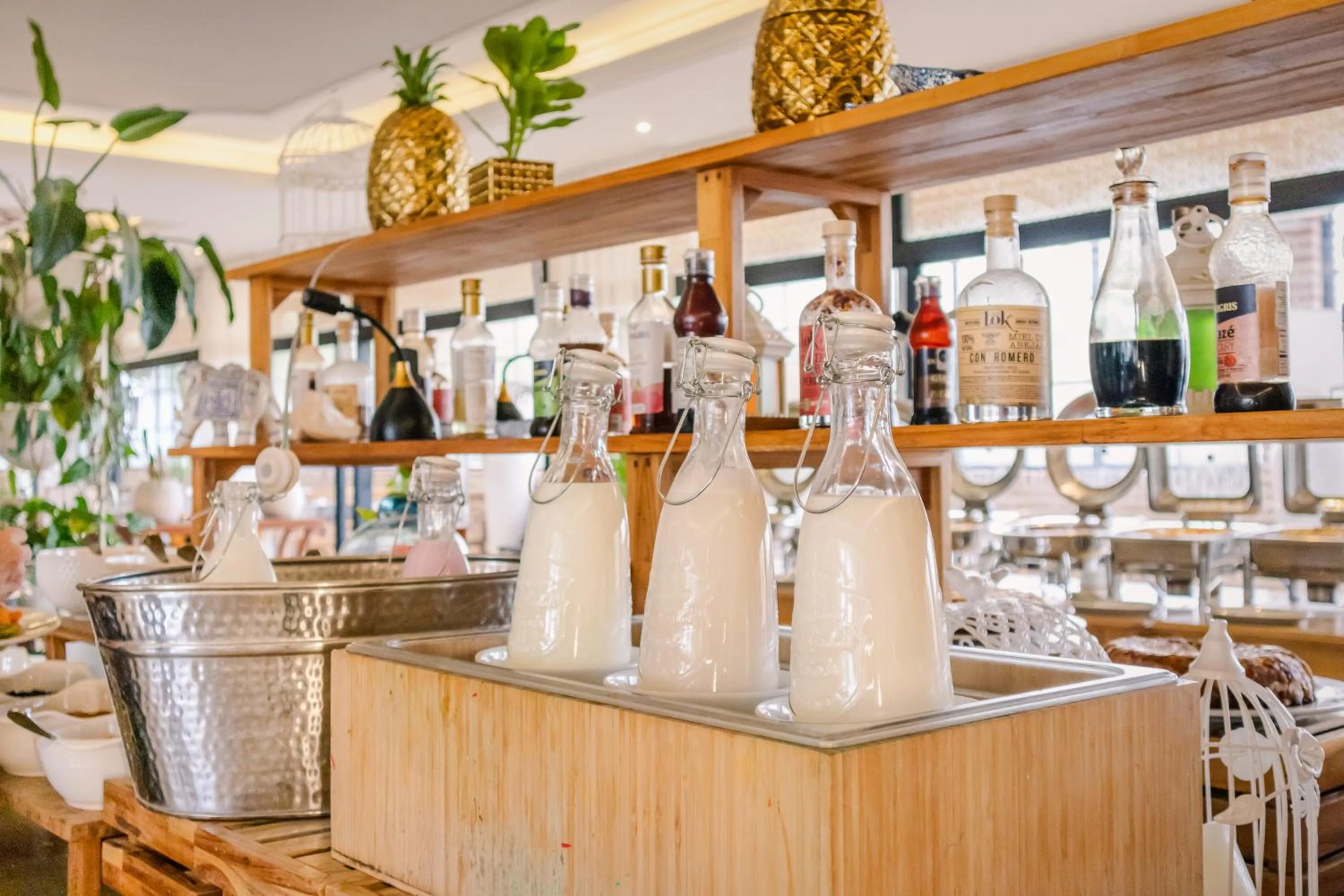 Breakfast in Hotel Caribe by Faranda Grand, a member of Radisson Individuals