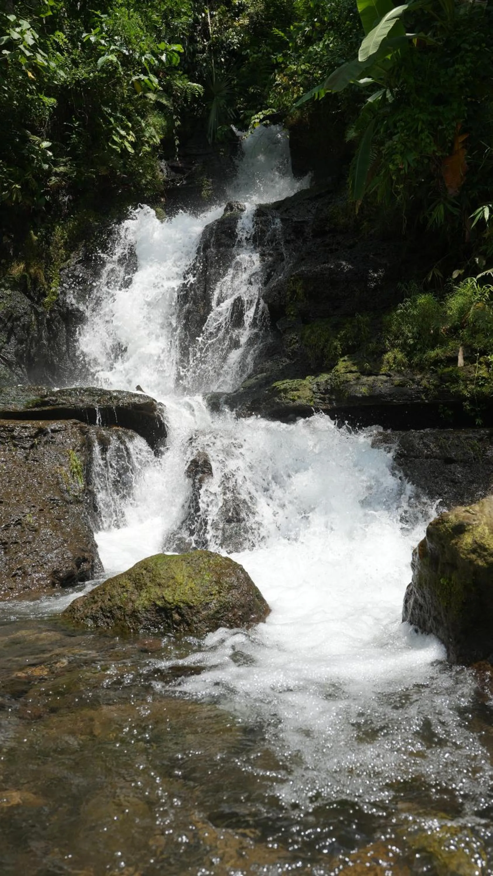 Natural landscape in Kelapa Retreat & Spa