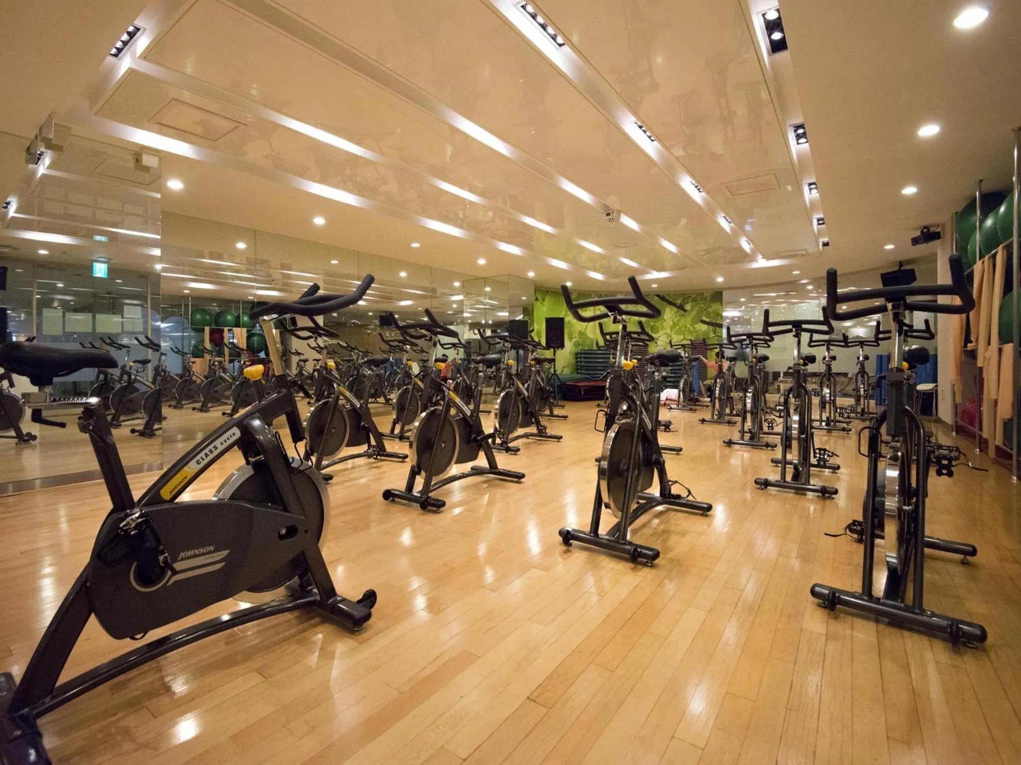 Fitness centre/facilities in Nongshim Hotel