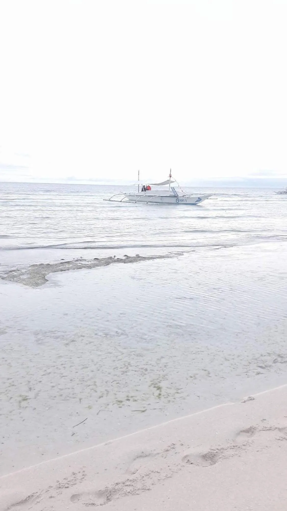 Fishing in The Whitehouse by the Sea