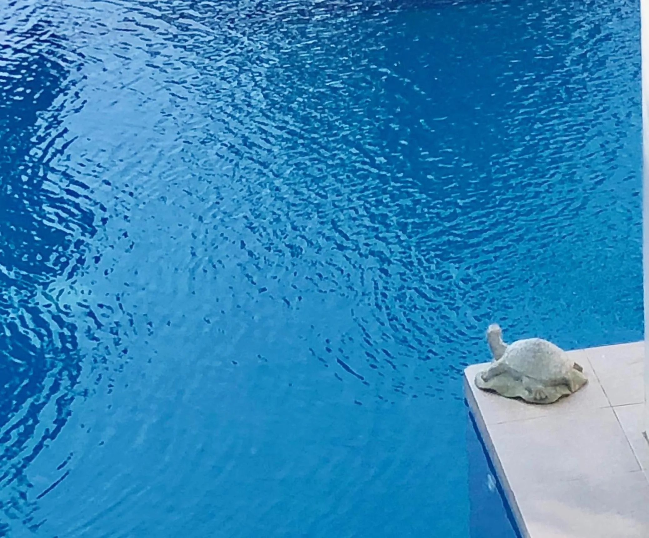 Swimming pool in The Whitehouse by the Sea