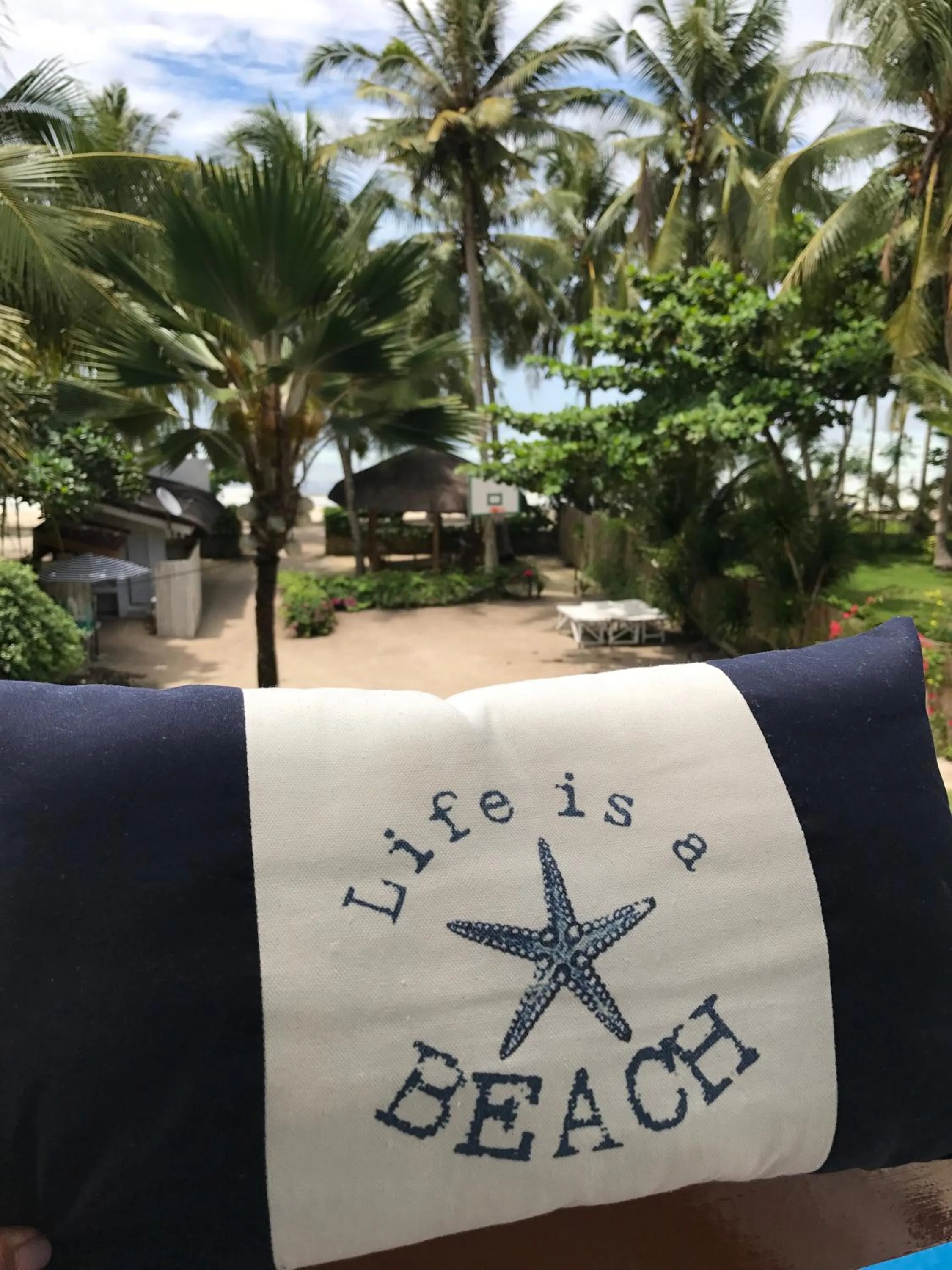 Day in The Whitehouse by the Sea