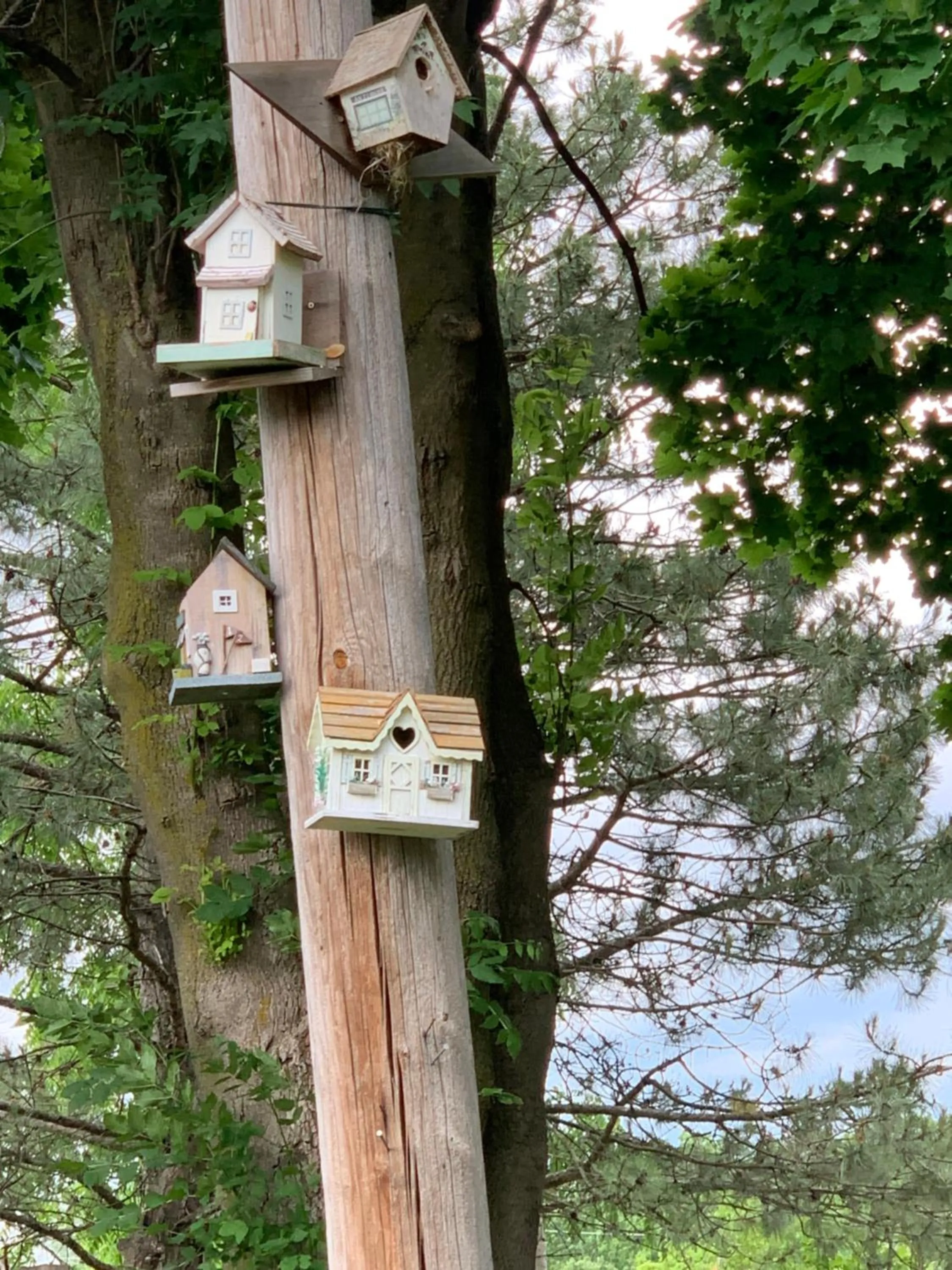 Natural landscape in Green Oaks B&B