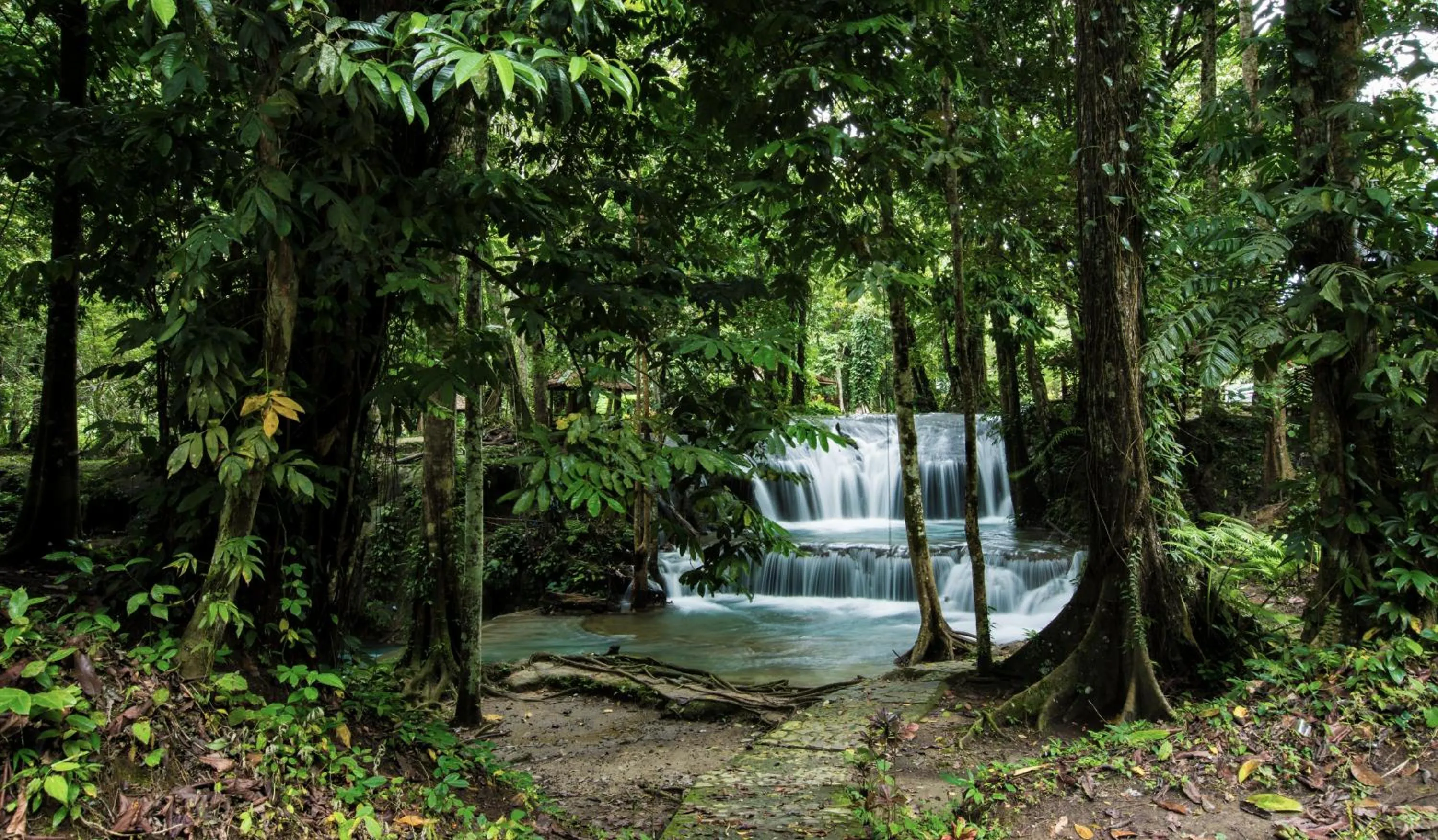 Garden in Hotel Santika Luwuk - Sulawesi Tengah