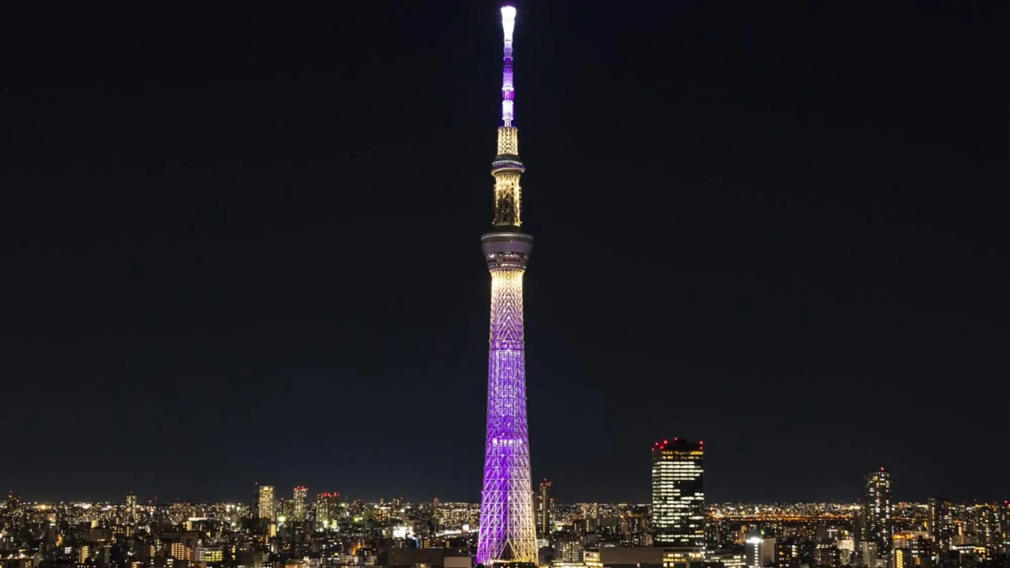 Activities in Candeo Hotels Ueno Park