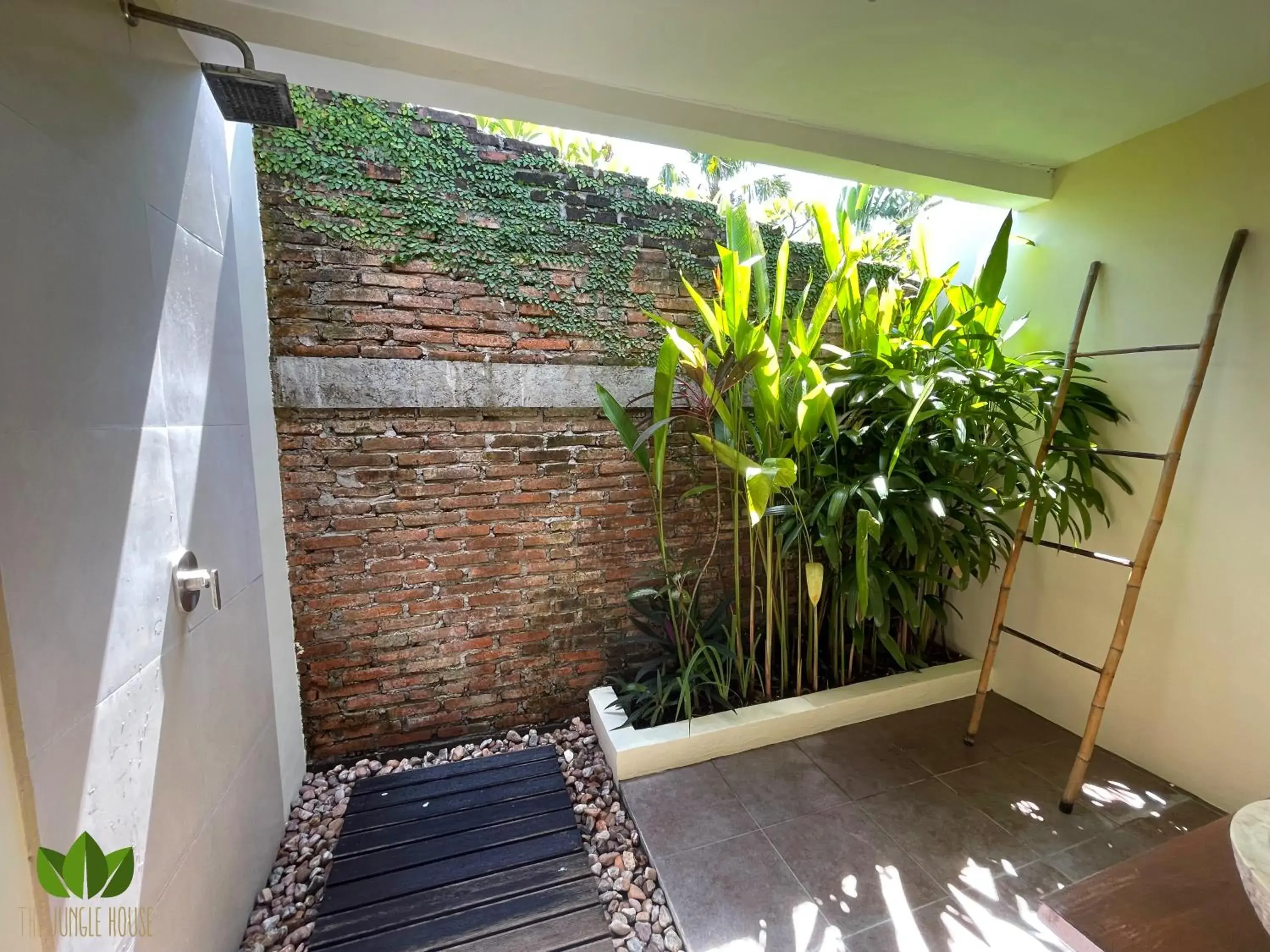Bed in 6-Bed Female Dormitory Room in The Jungle House Bed in 6-Bed Female Dormitory Room in The Jungle House