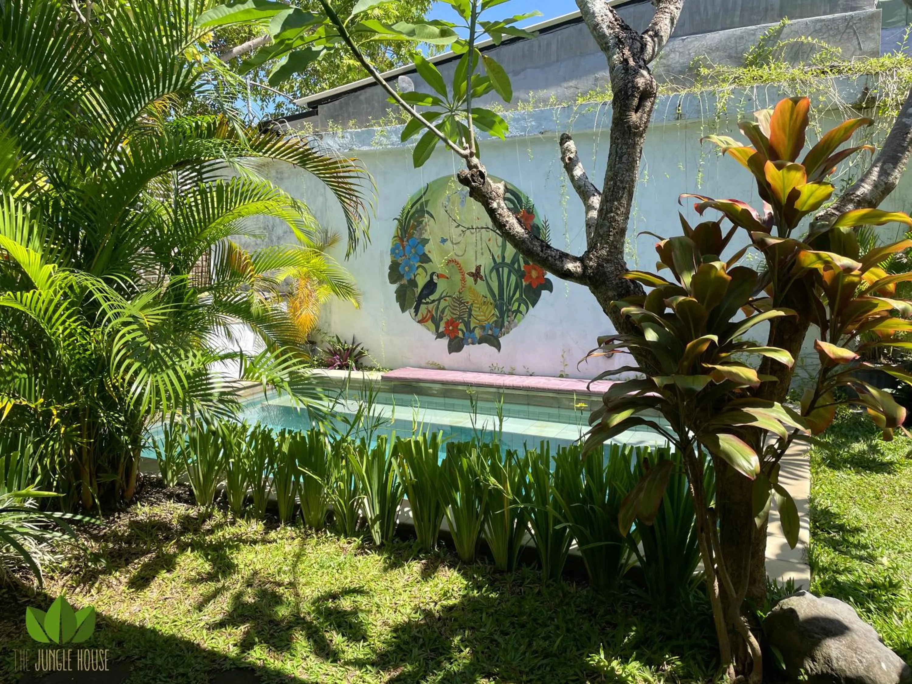 The Jungle House