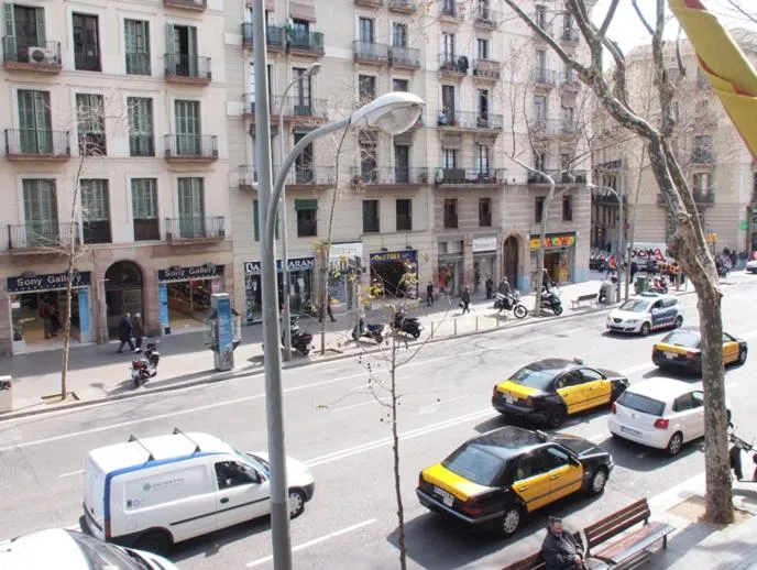 Area and facilities in Hostal Delfos