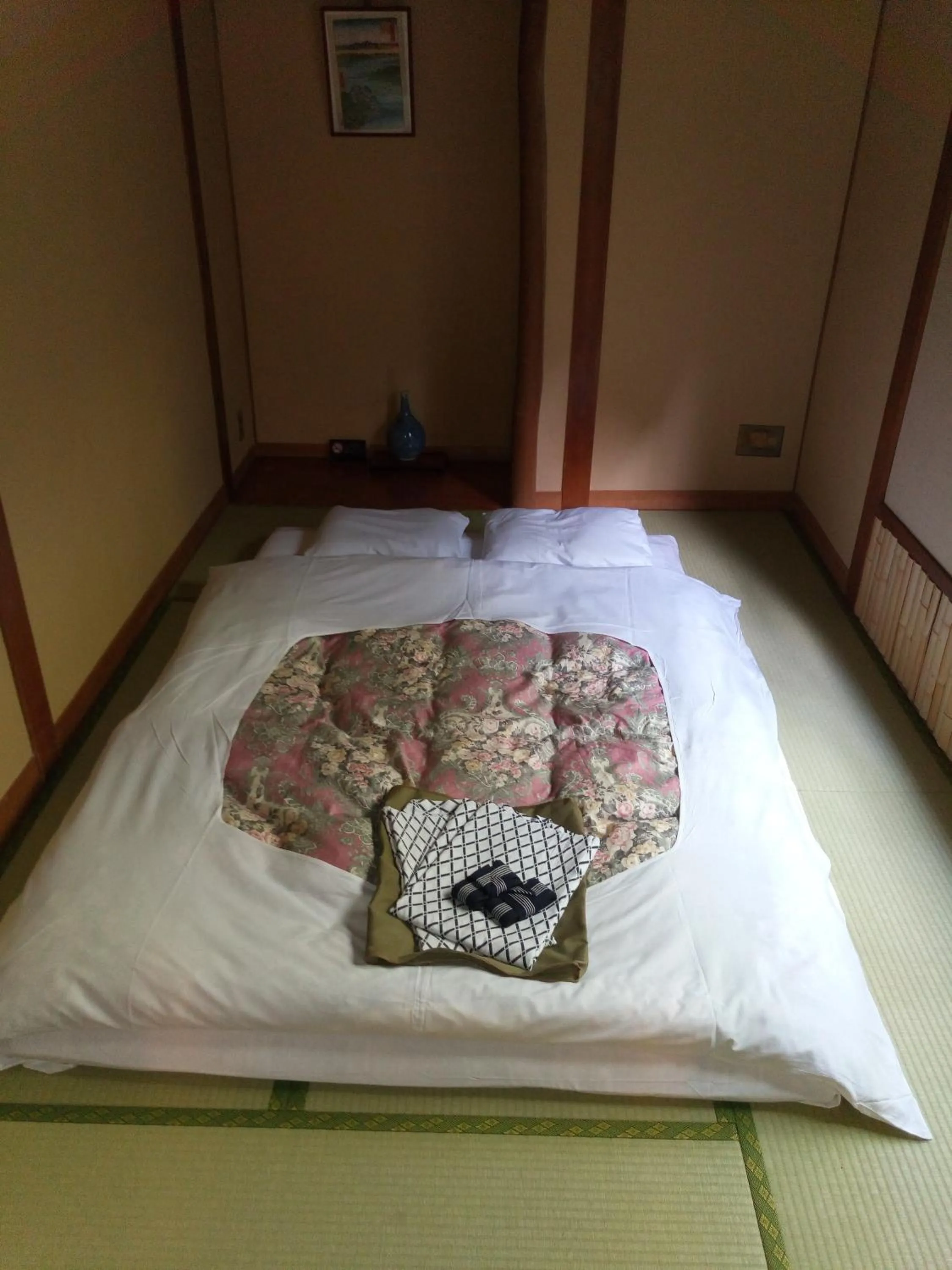 Photo of the whole room, Bed in Hotel Edoya