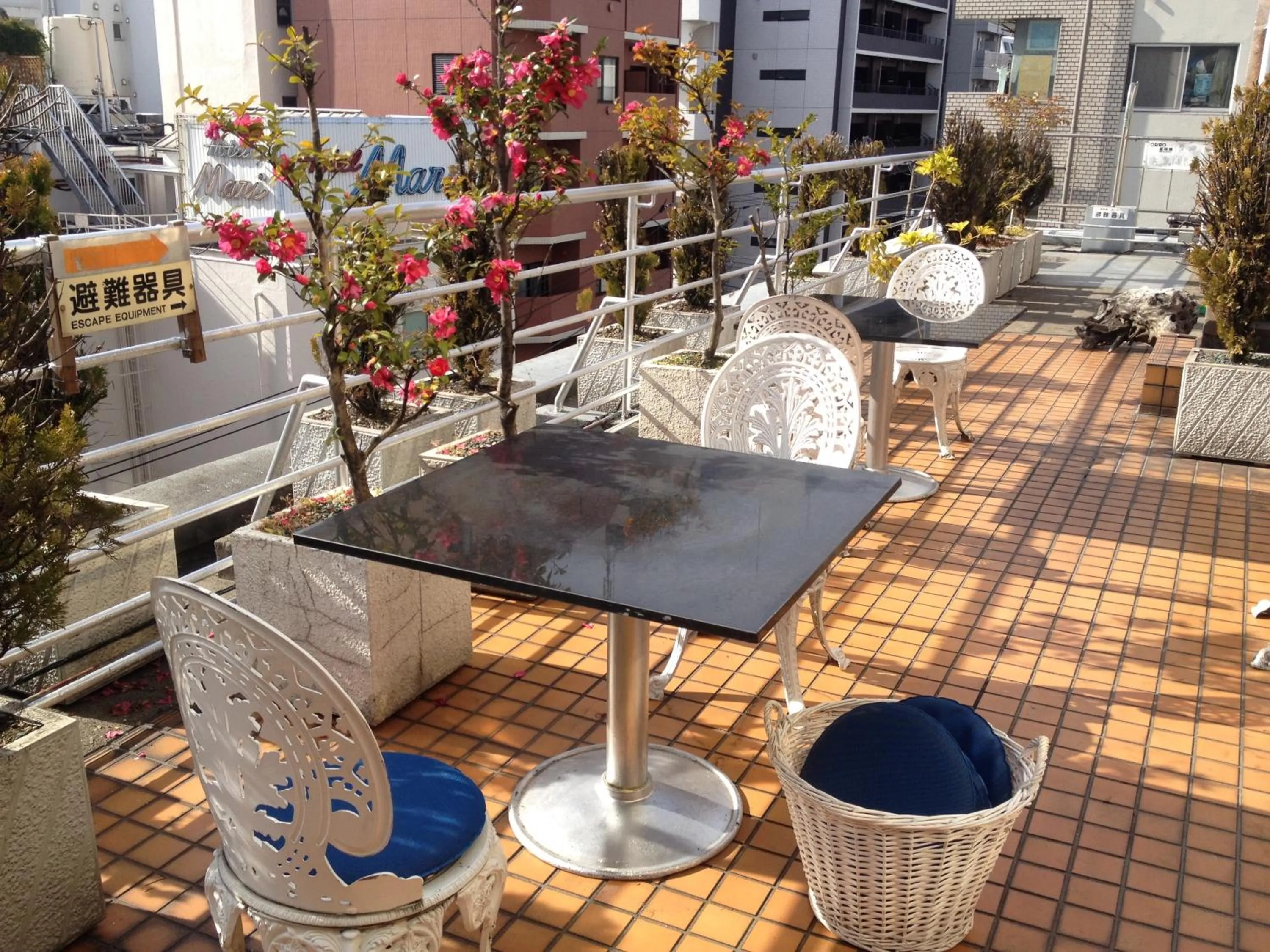 Balcony/Terrace in Hotel Edoya