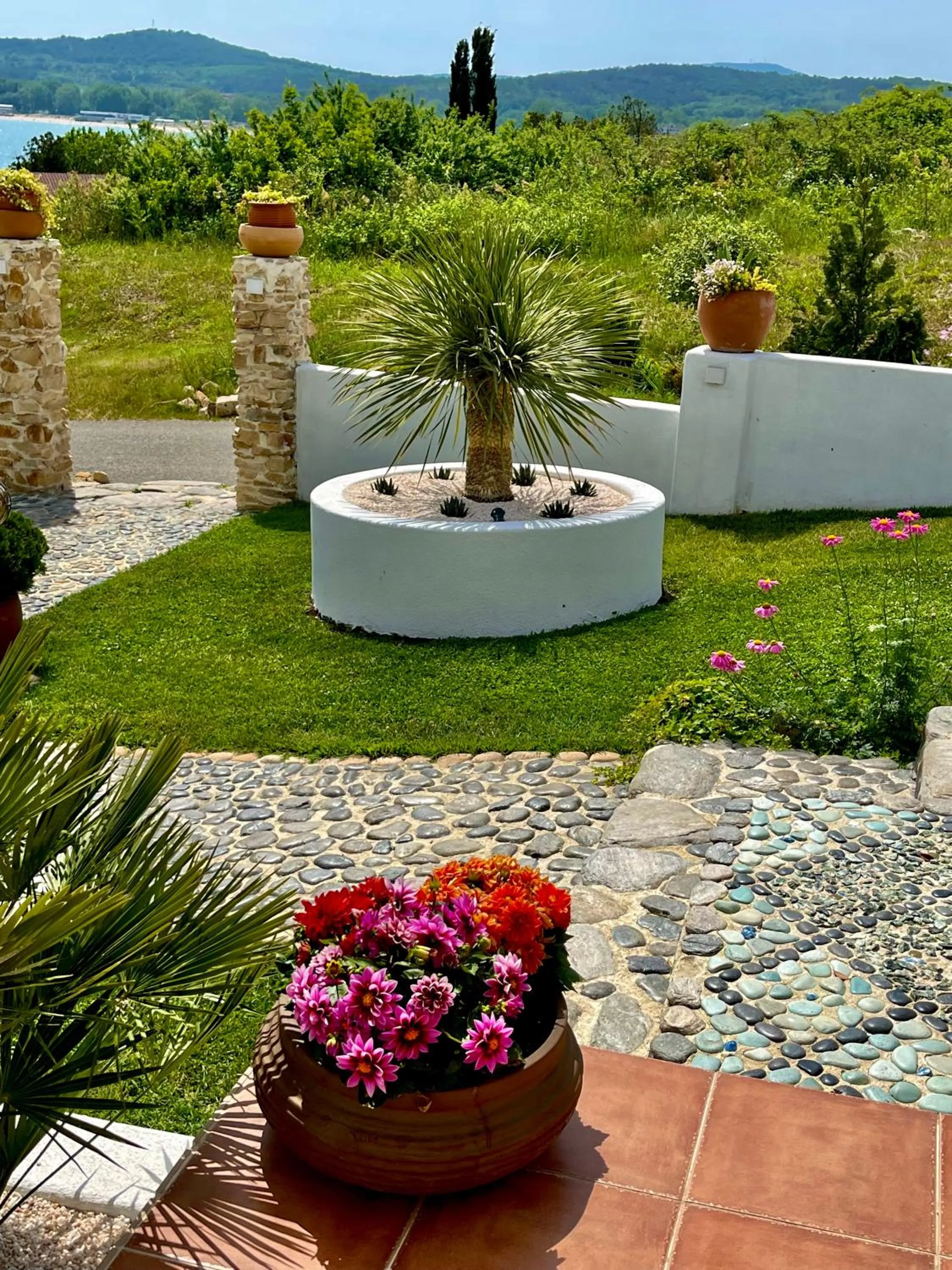 Patio in Casa de oro Alma