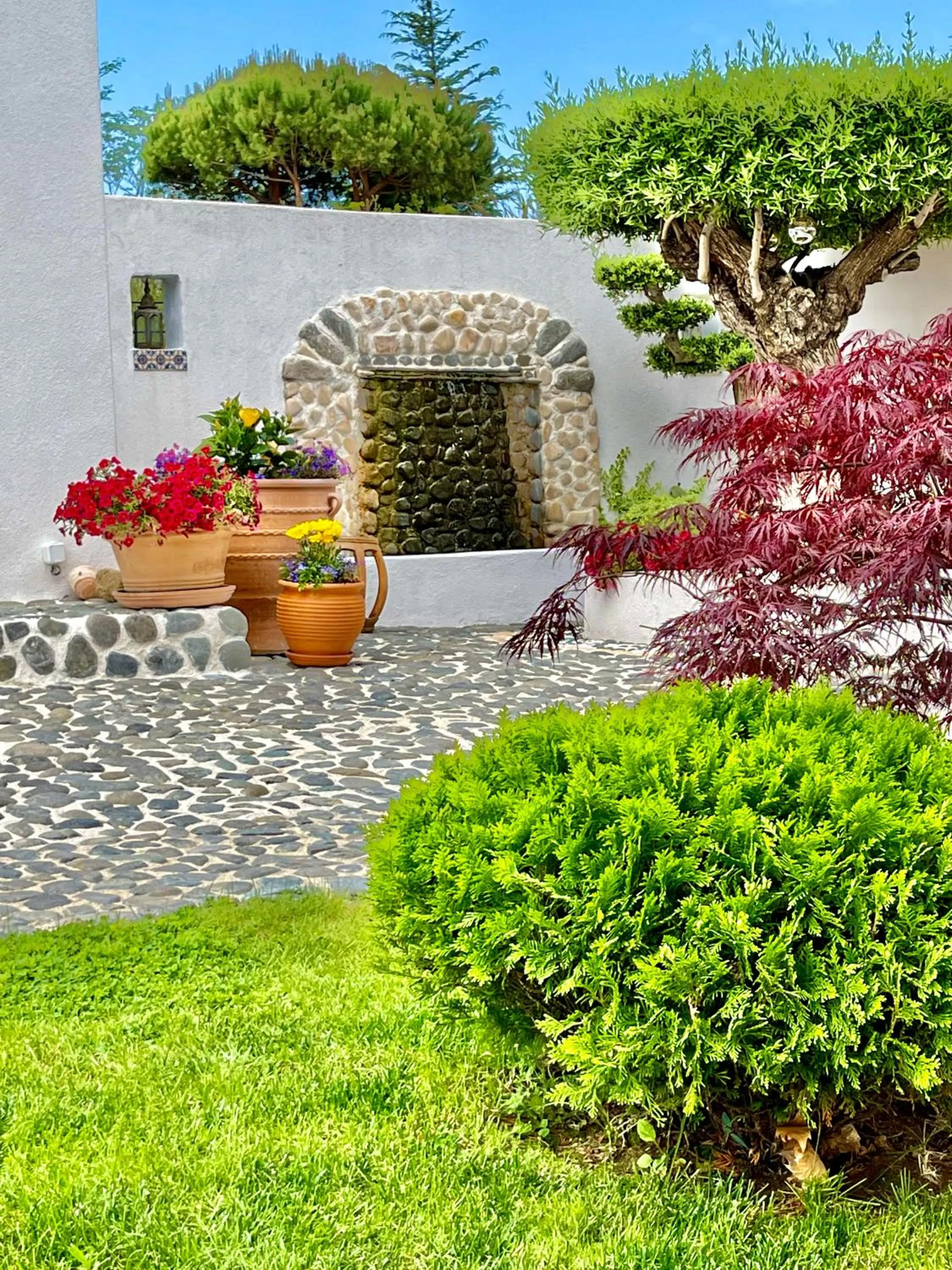 Patio in Casa de oro Alma