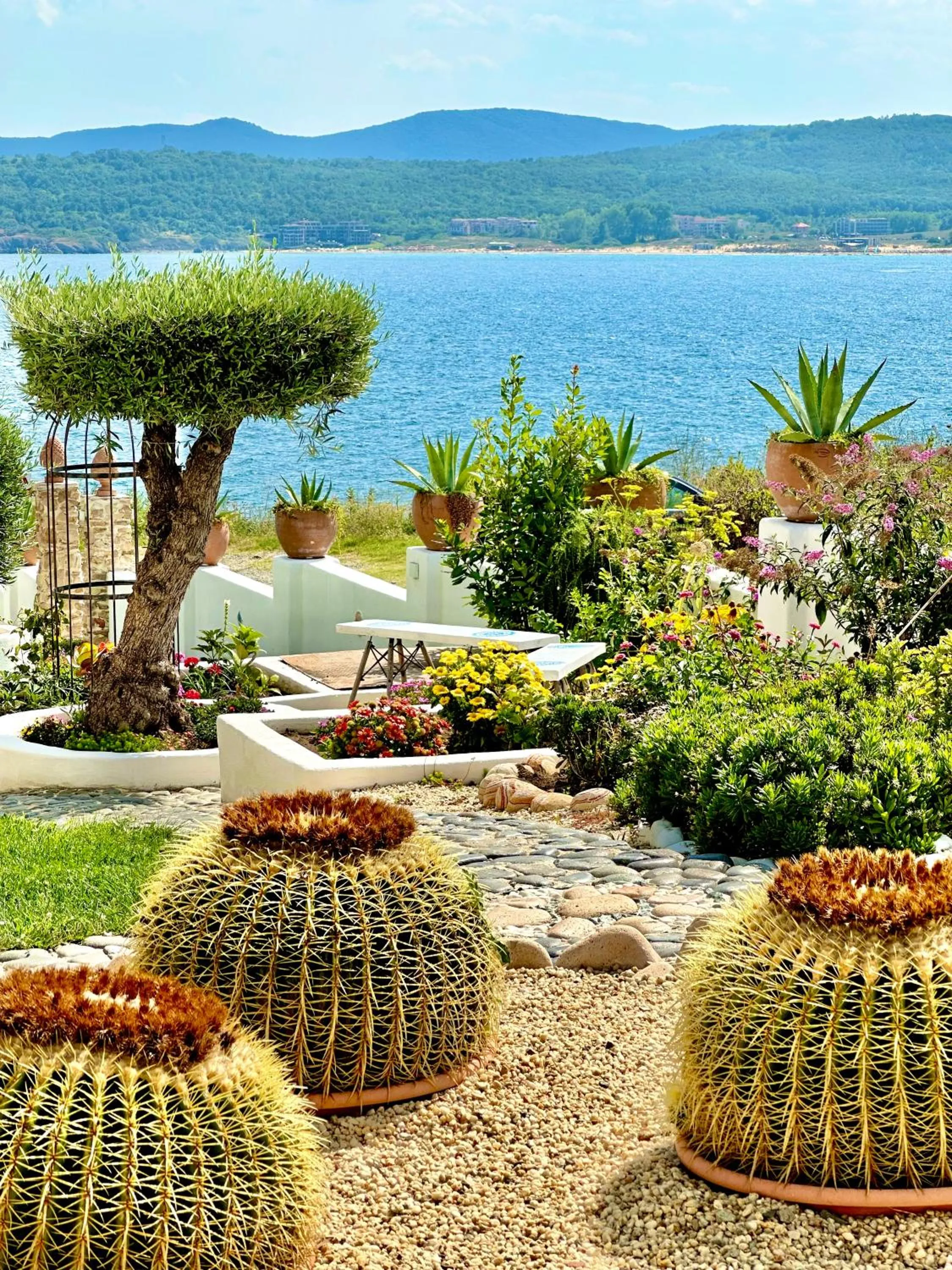 Sea view in Casa de oro Alma