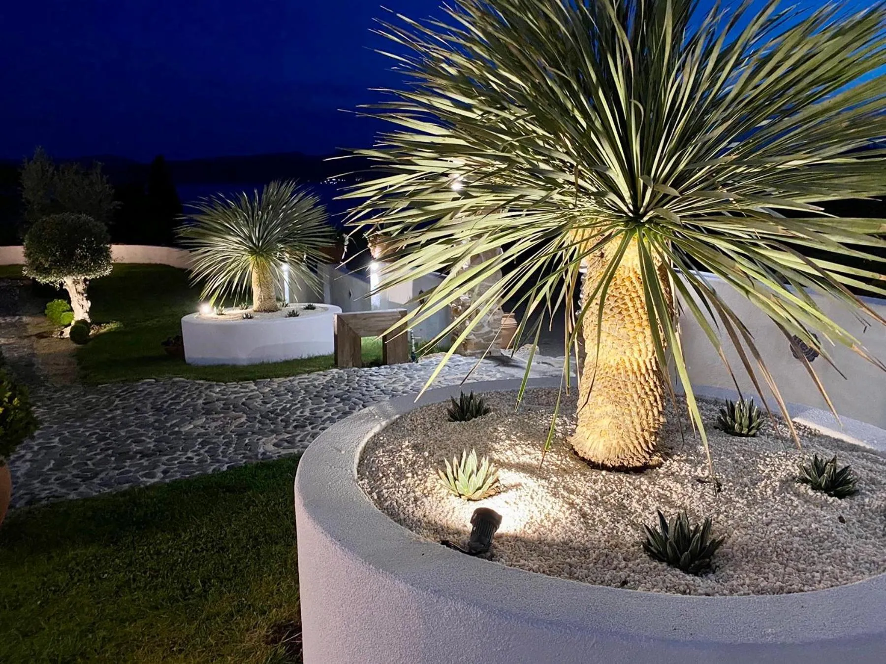 Garden in Casa de oro Alma