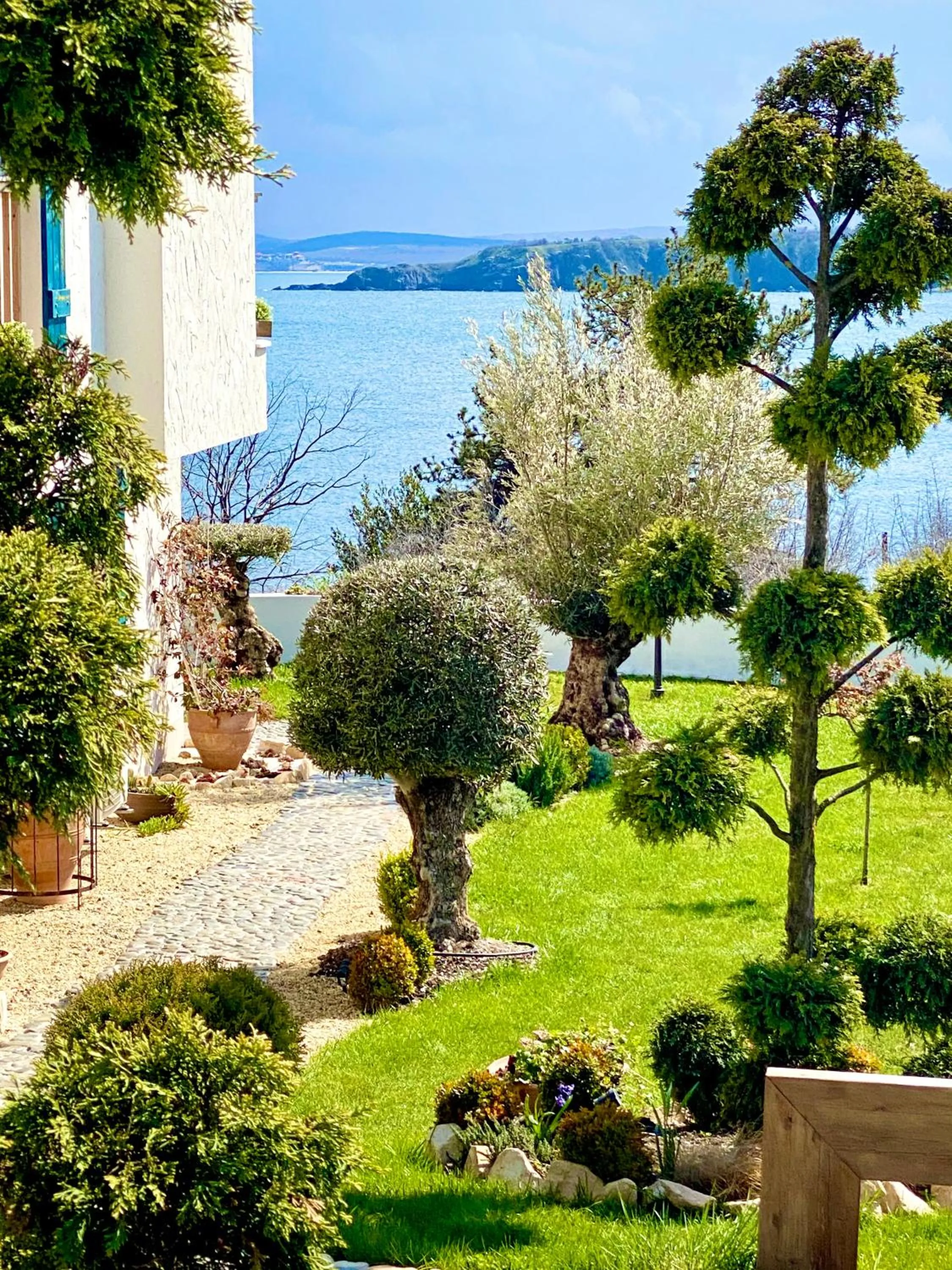 Patio in Casa de oro Alma