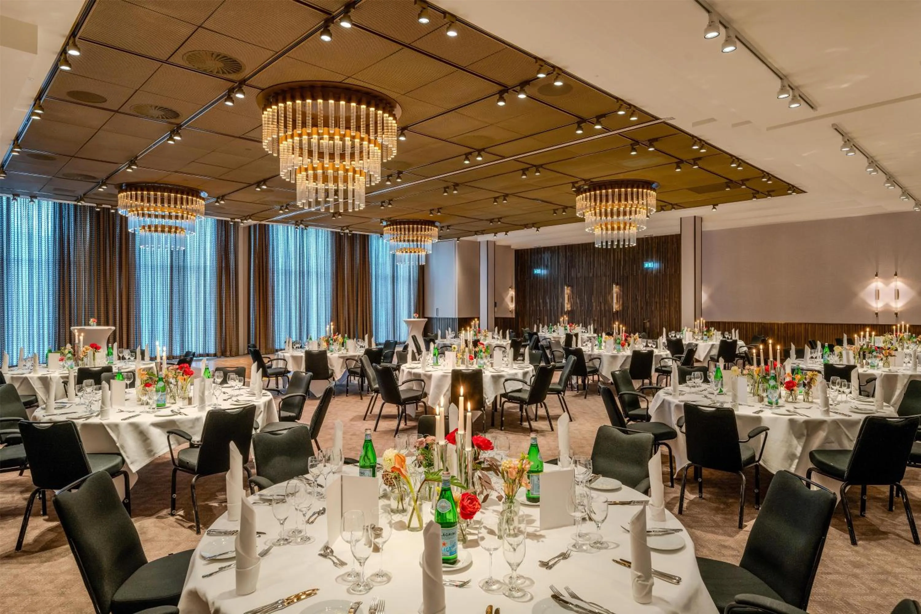 Banquet/Function facilities in Radisson Blu Senator Hotel, Lübeck