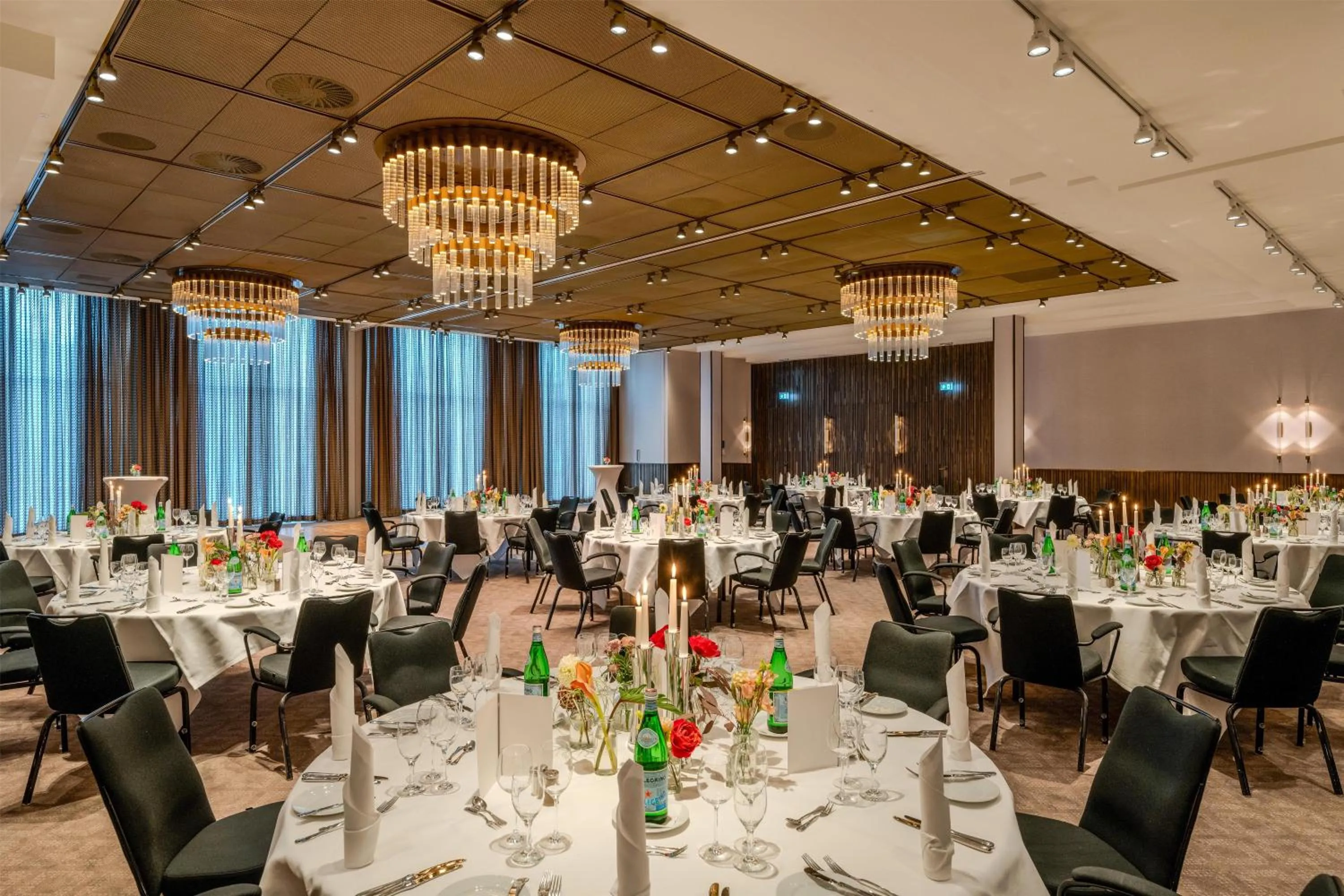 Banquet/Function facilities in Radisson Blu Senator Hotel, Lübeck