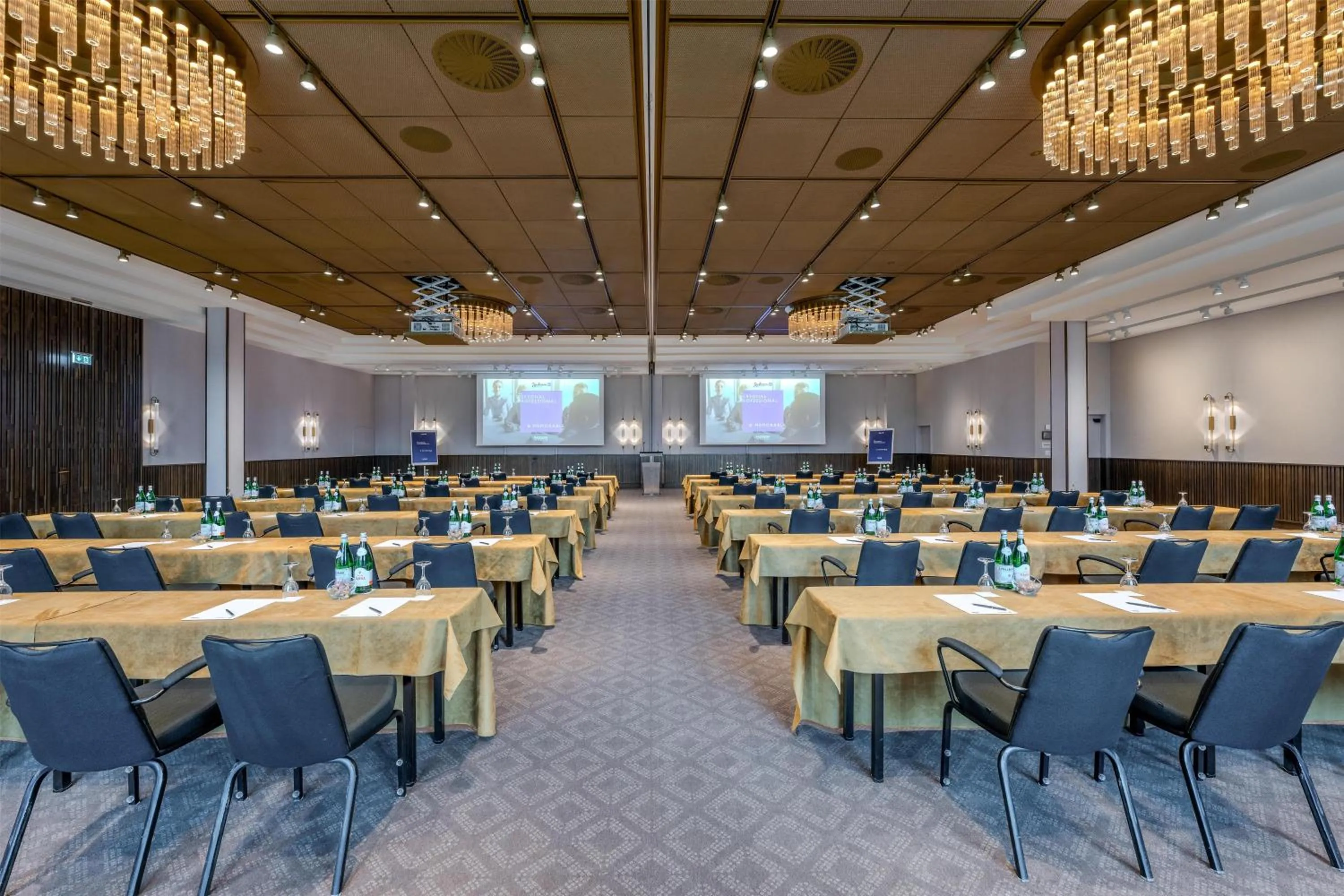 Meeting/conference room in Radisson Blu Senator Hotel, Lübeck