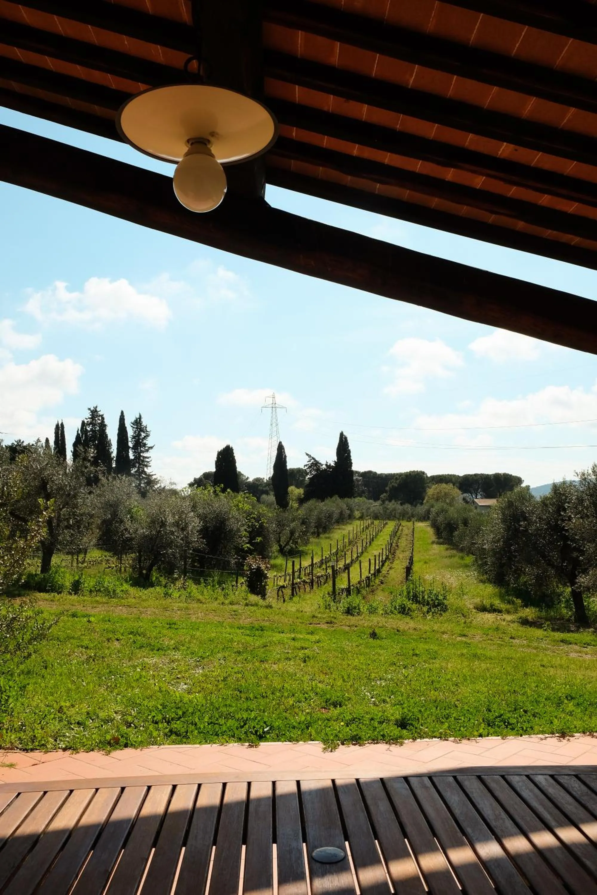 Garden in Agriturismo biologico Bulichella
