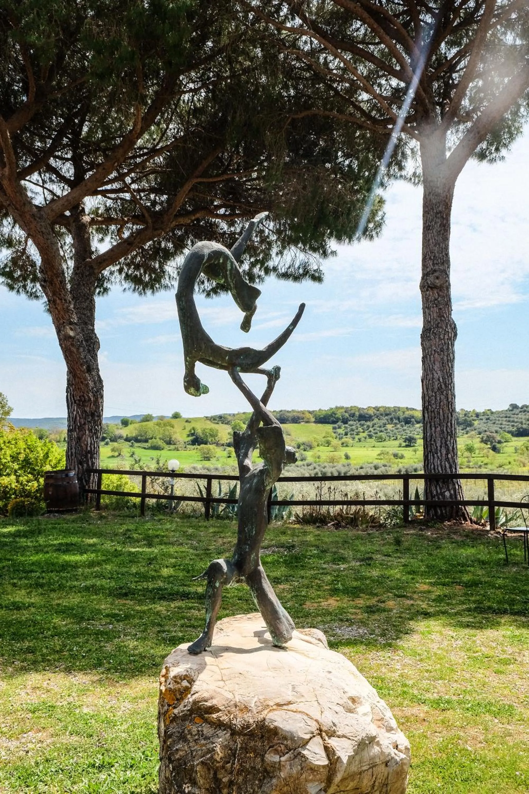 Garden in Agriturismo biologico Bulichella