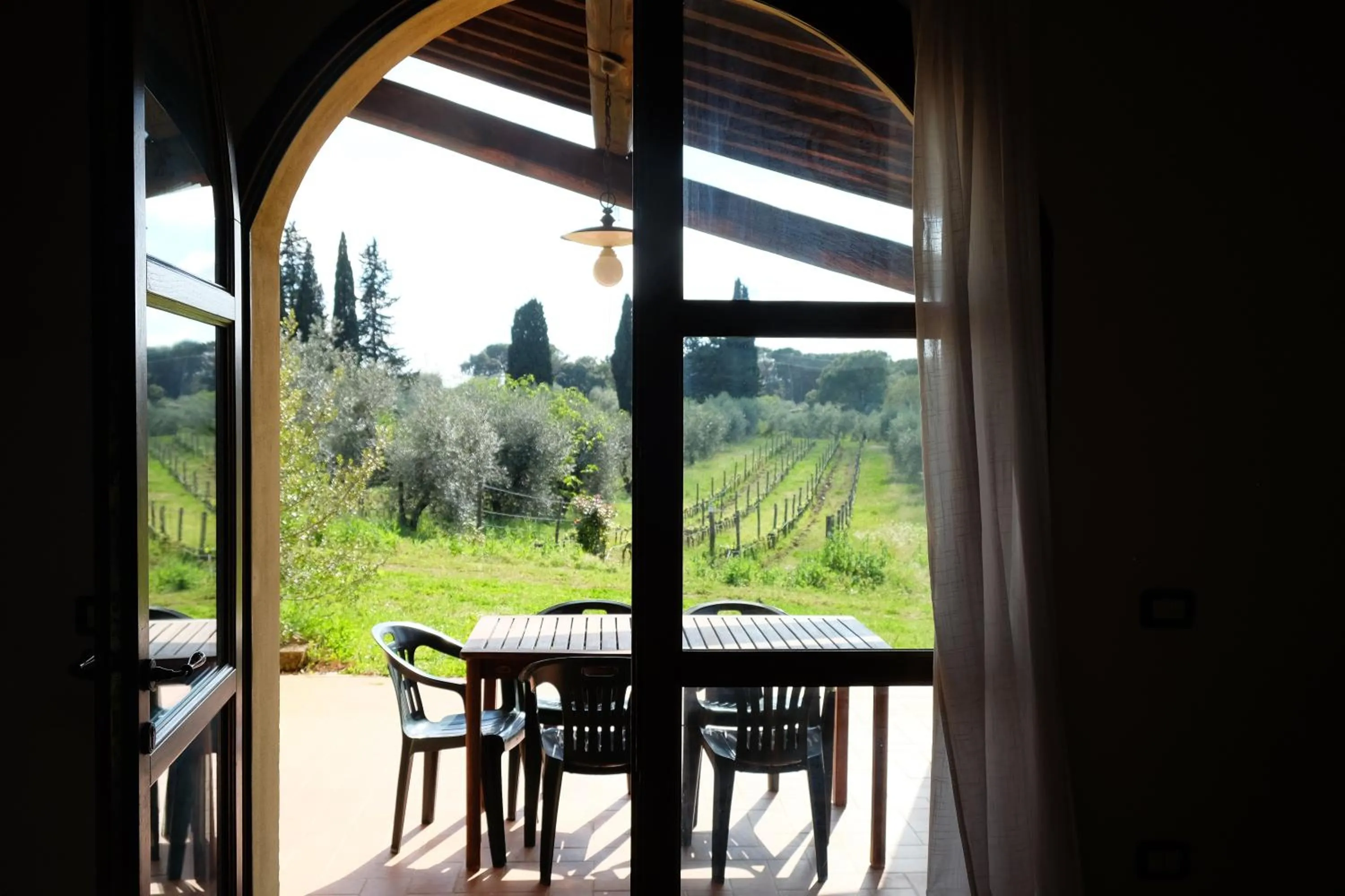 Garden view in Agriturismo biologico Bulichella