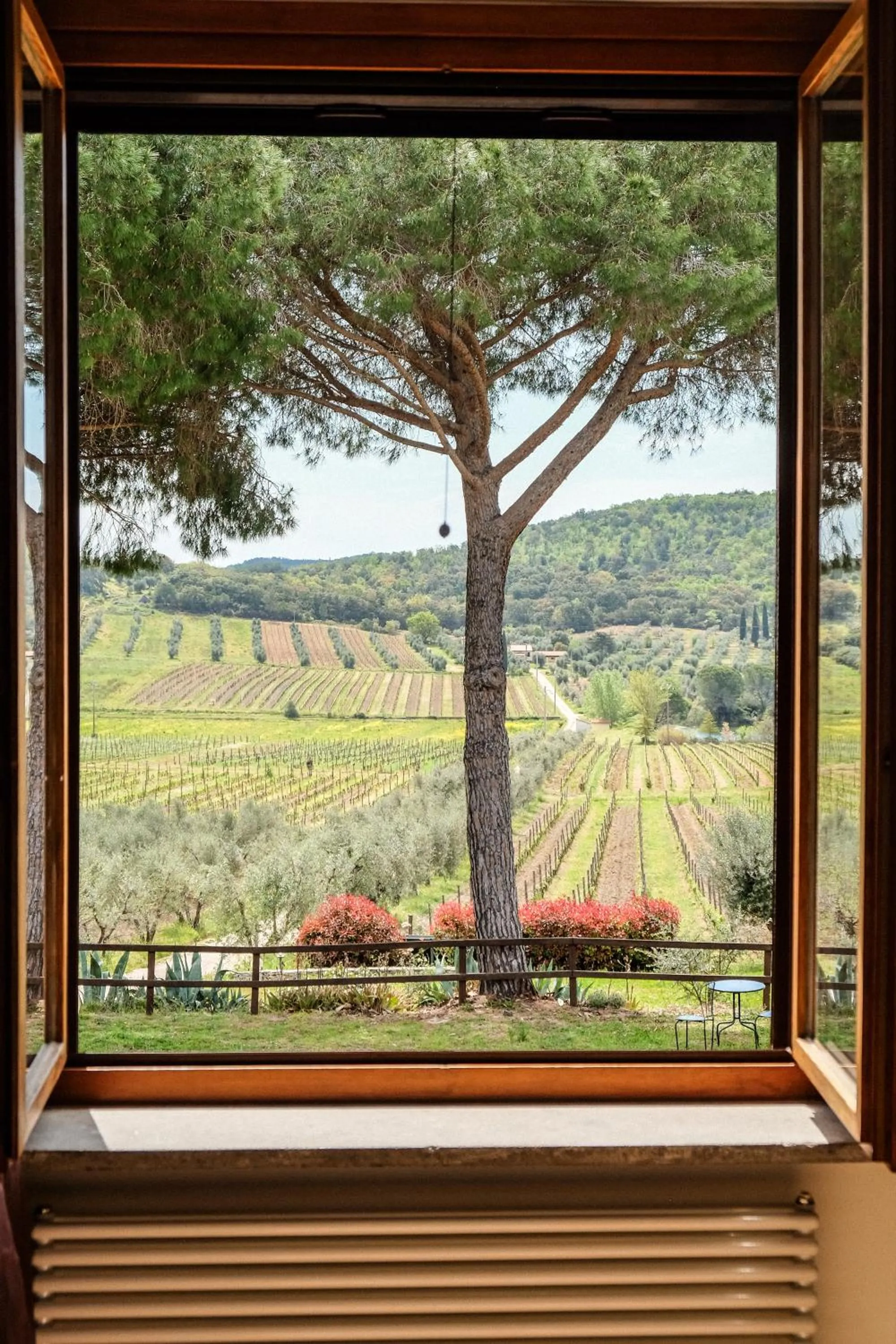 Garden in Agriturismo biologico Bulichella