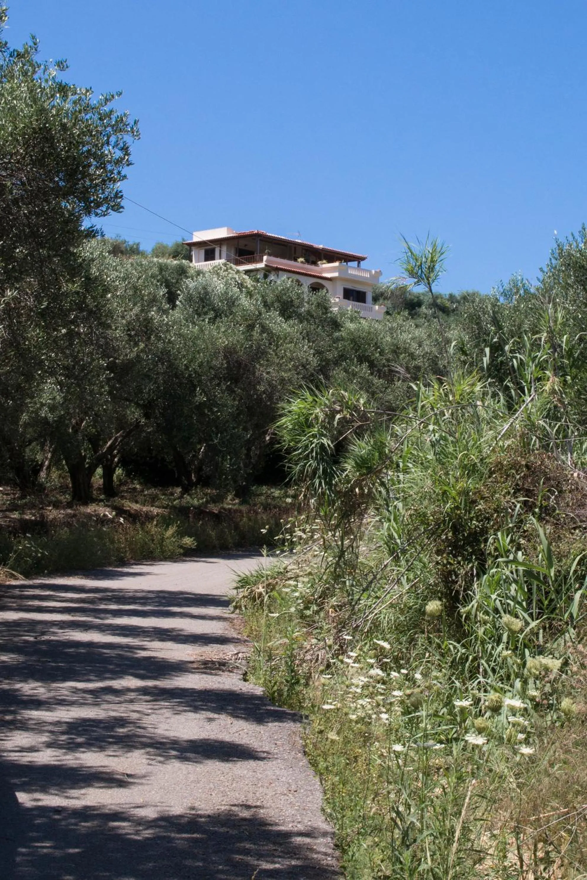 Day in Alexandra Villa Stalos