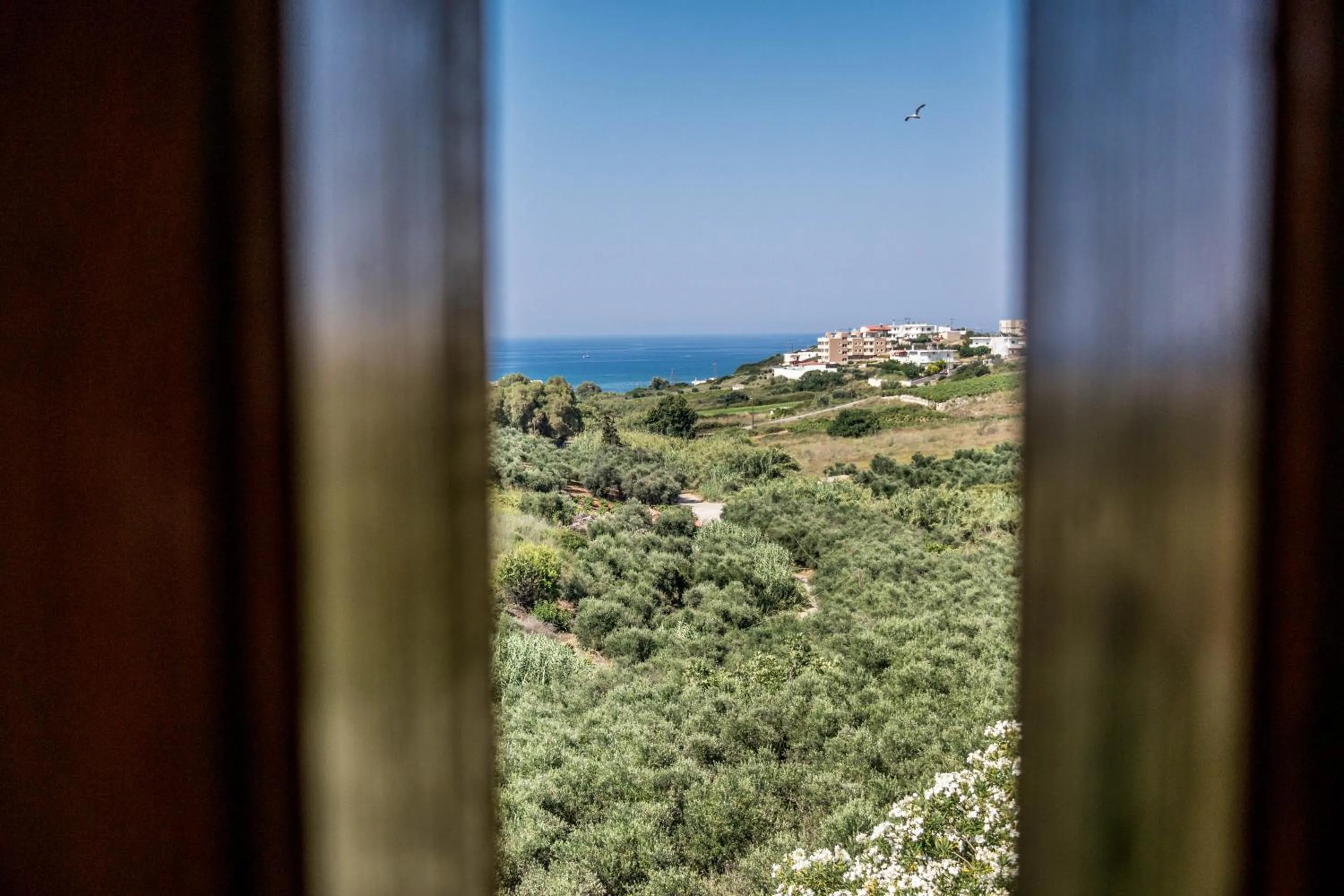 Day in Alexandra Villa Stalos