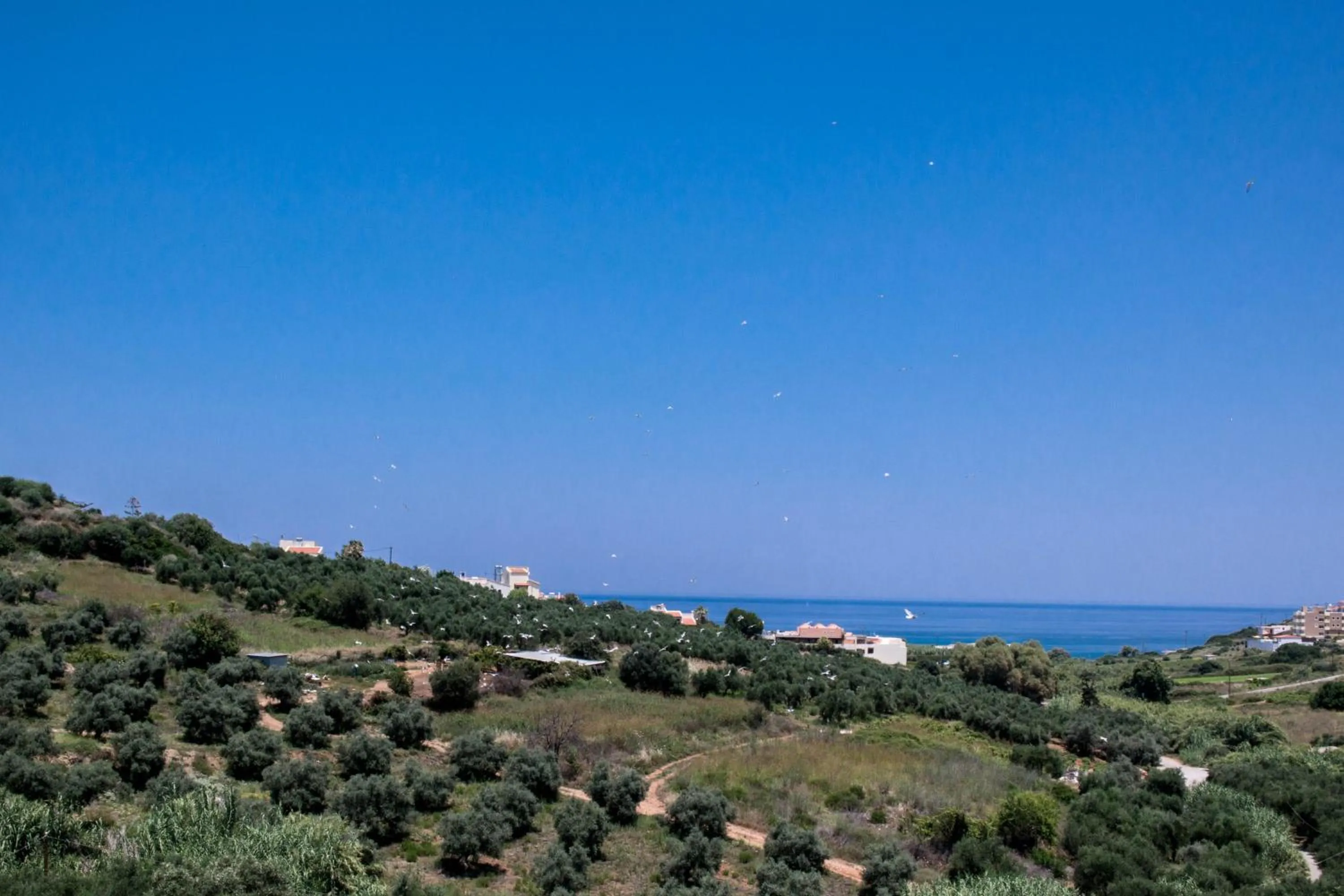 Sea view in Alexandra Villa Stalos