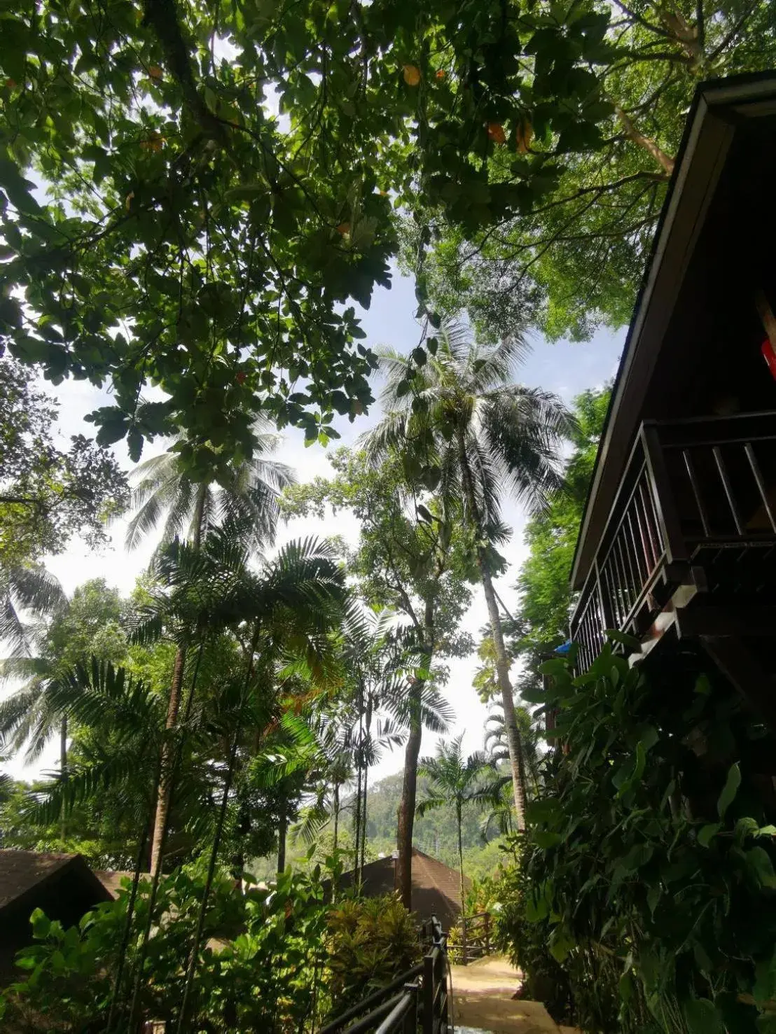 Property building in Baan Krating Khao Lak Resort - SHA plus Property building in Baan Krating Khao Lak Resort - SHA plus