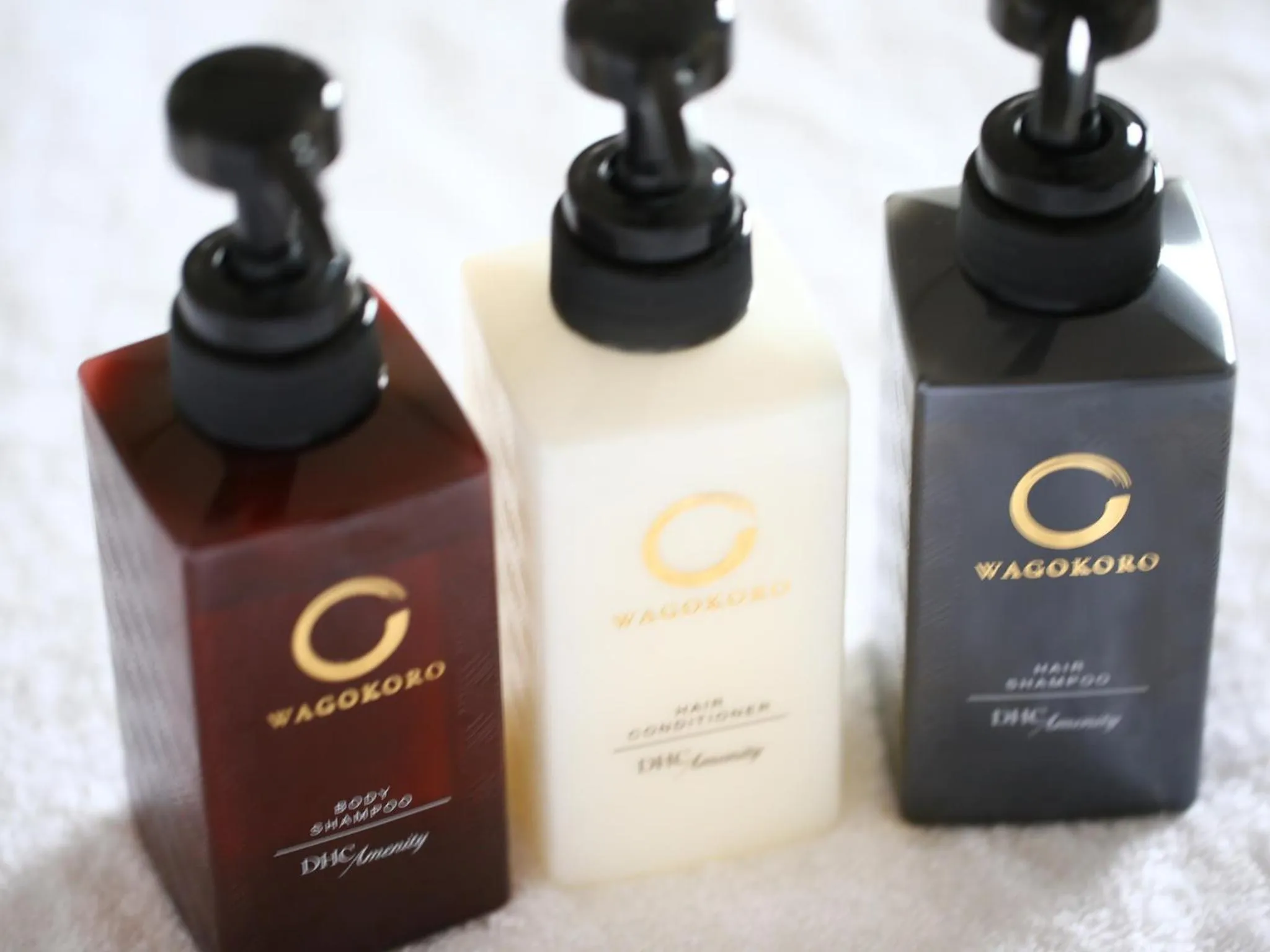 Decorative detail in Hotel Wing International Select Ueno Okachimachi