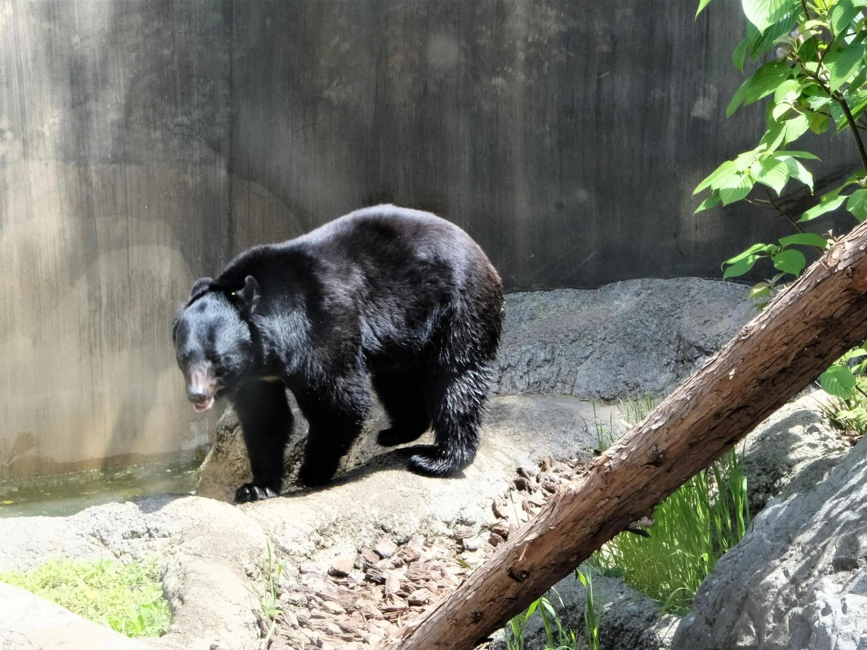Nearby landmark in Hotel Wing International Select Ueno Okachimachi