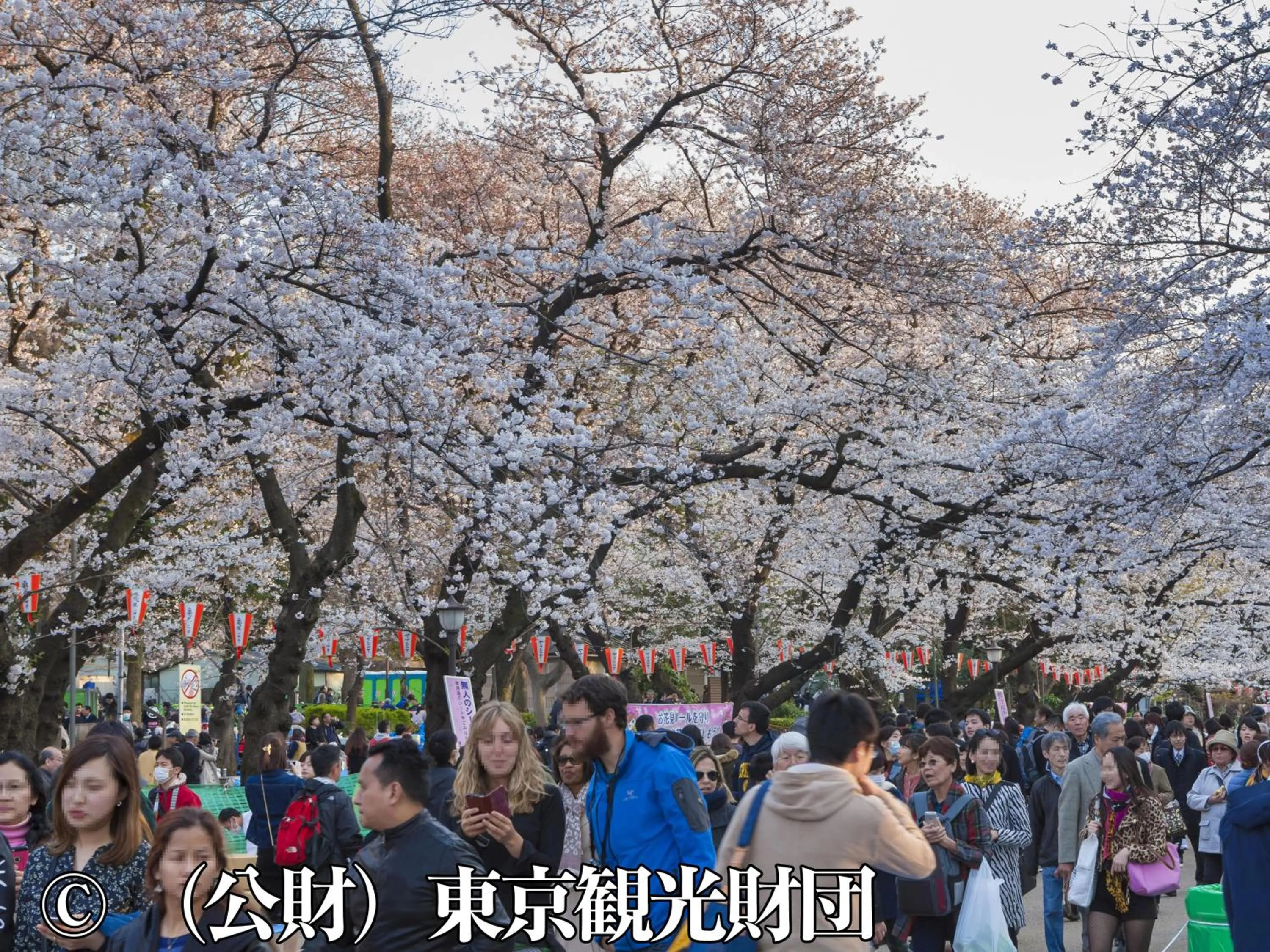 Nearby landmark in Hotel Wing International Select Ueno Okachimachi